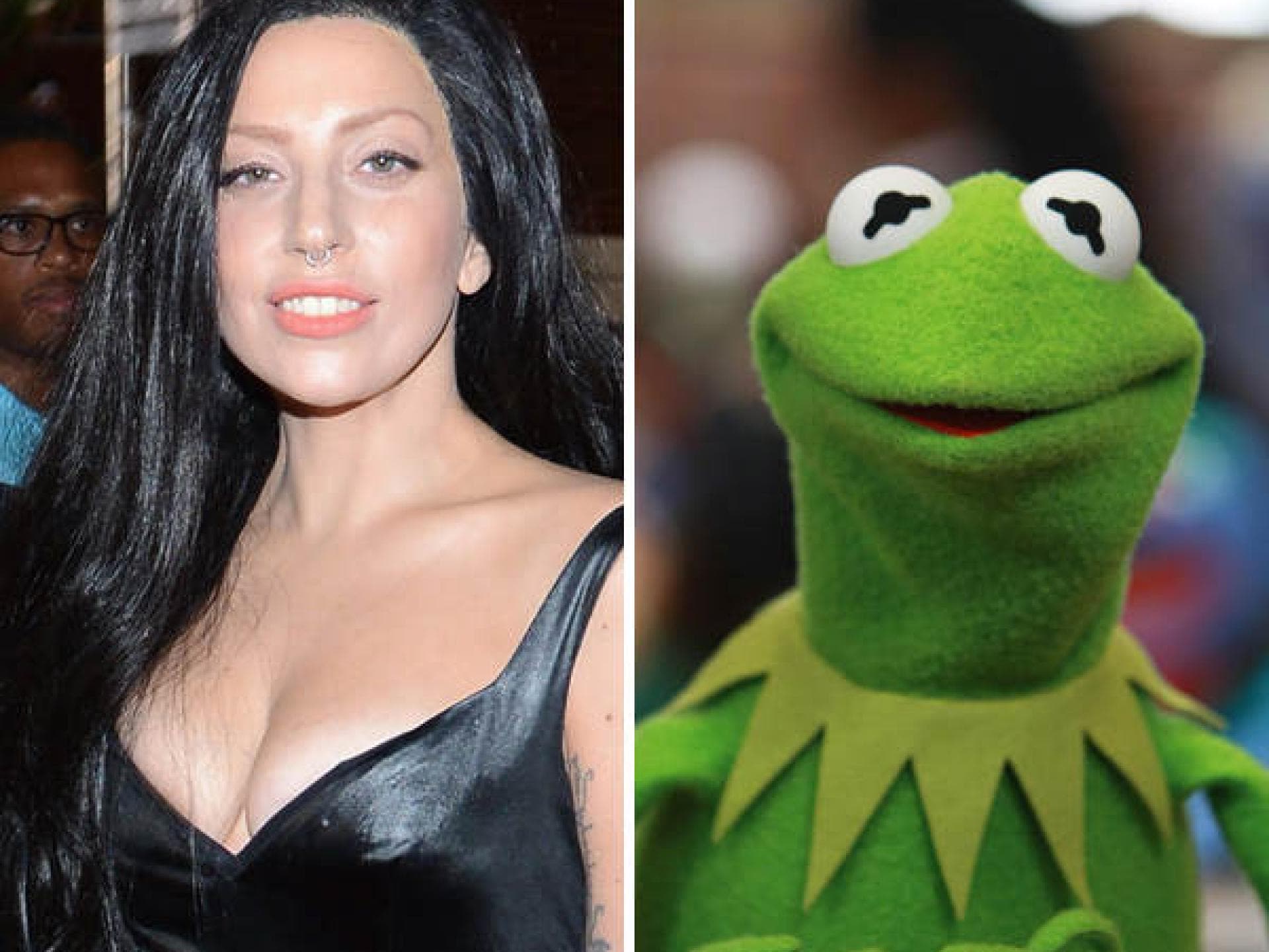 Wer passt perfekt zu Lady Gaga?