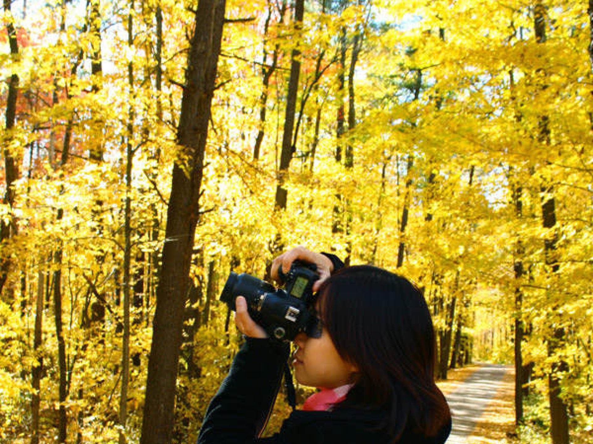 Fotografieren: Die richtige Location Fotografieren: Die richtige Location