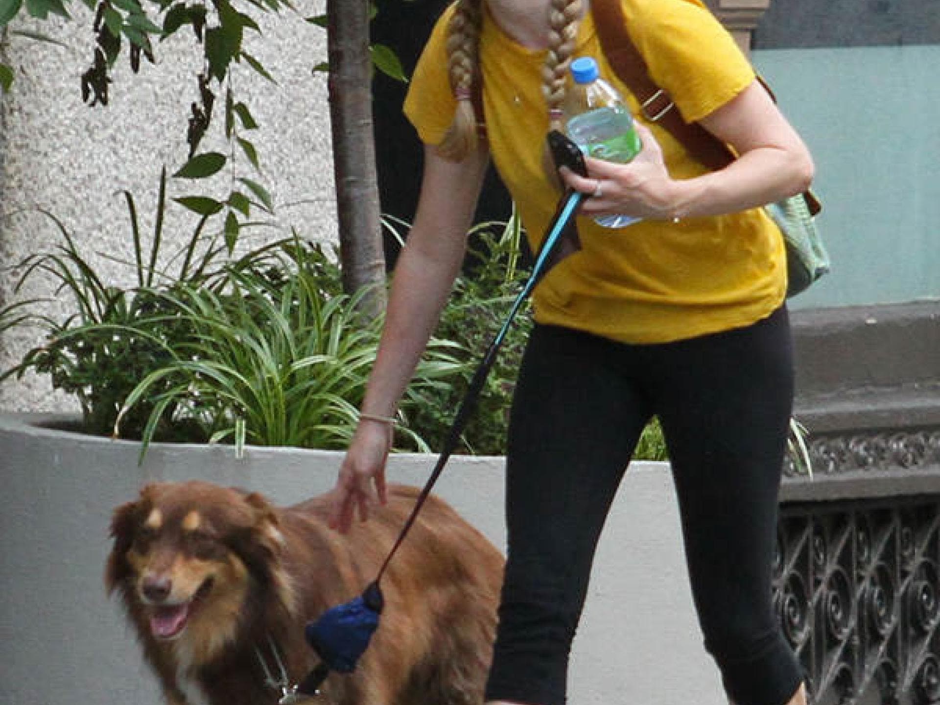 Amanda Seyfried und Hund Finn