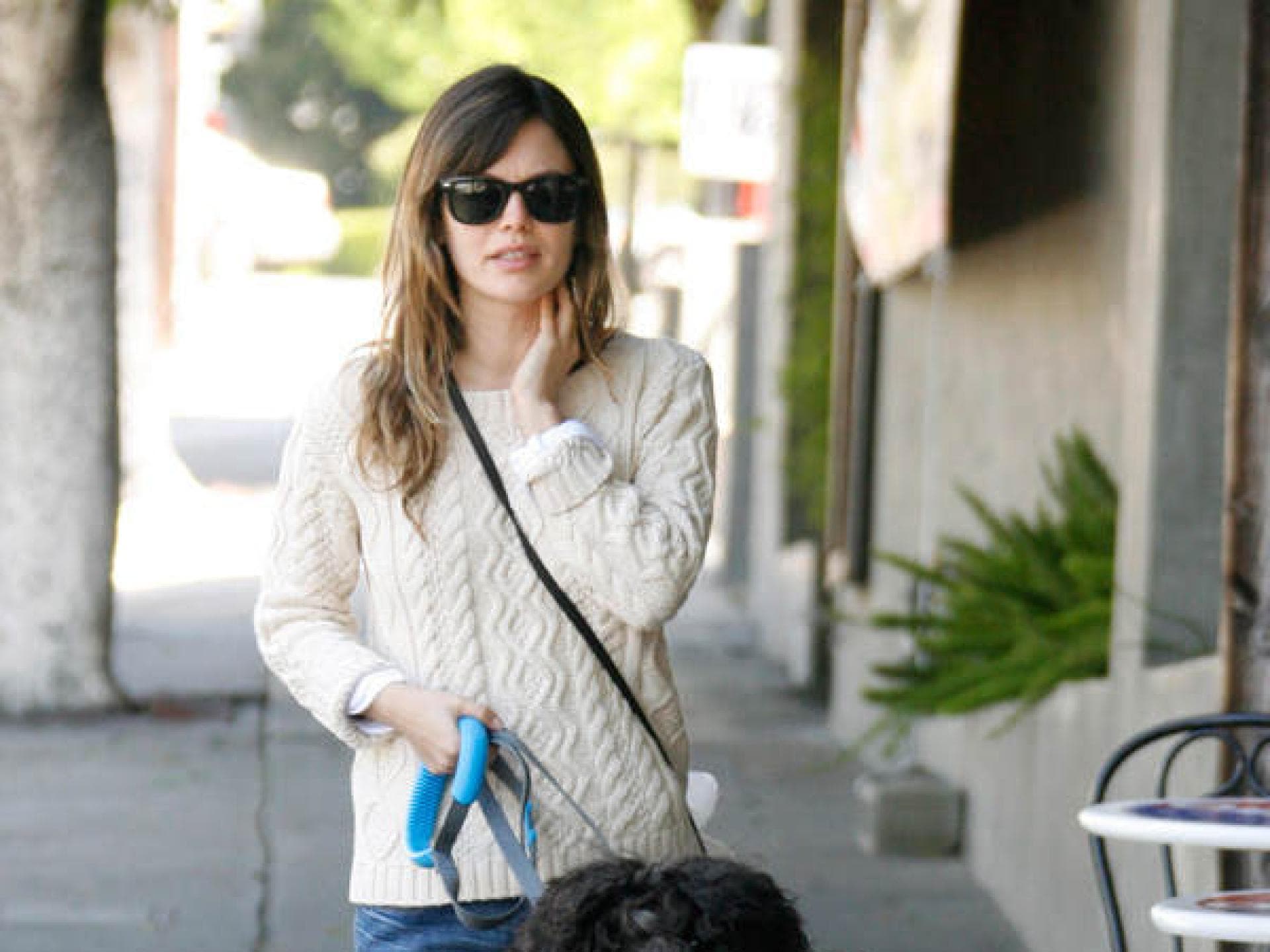 Rachel Bilson mit Hund