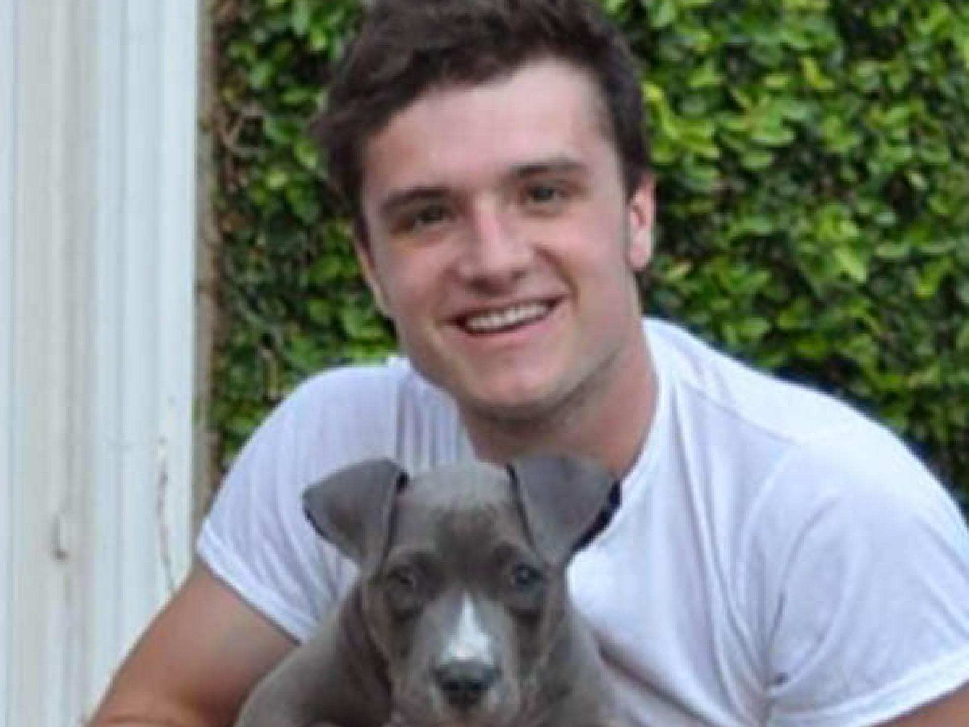 Josh Hutcherson und Hund Driver