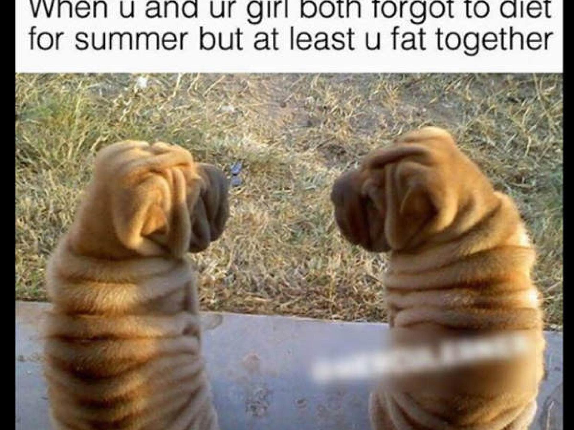 Liont disst seine Katrin auf Twitter!