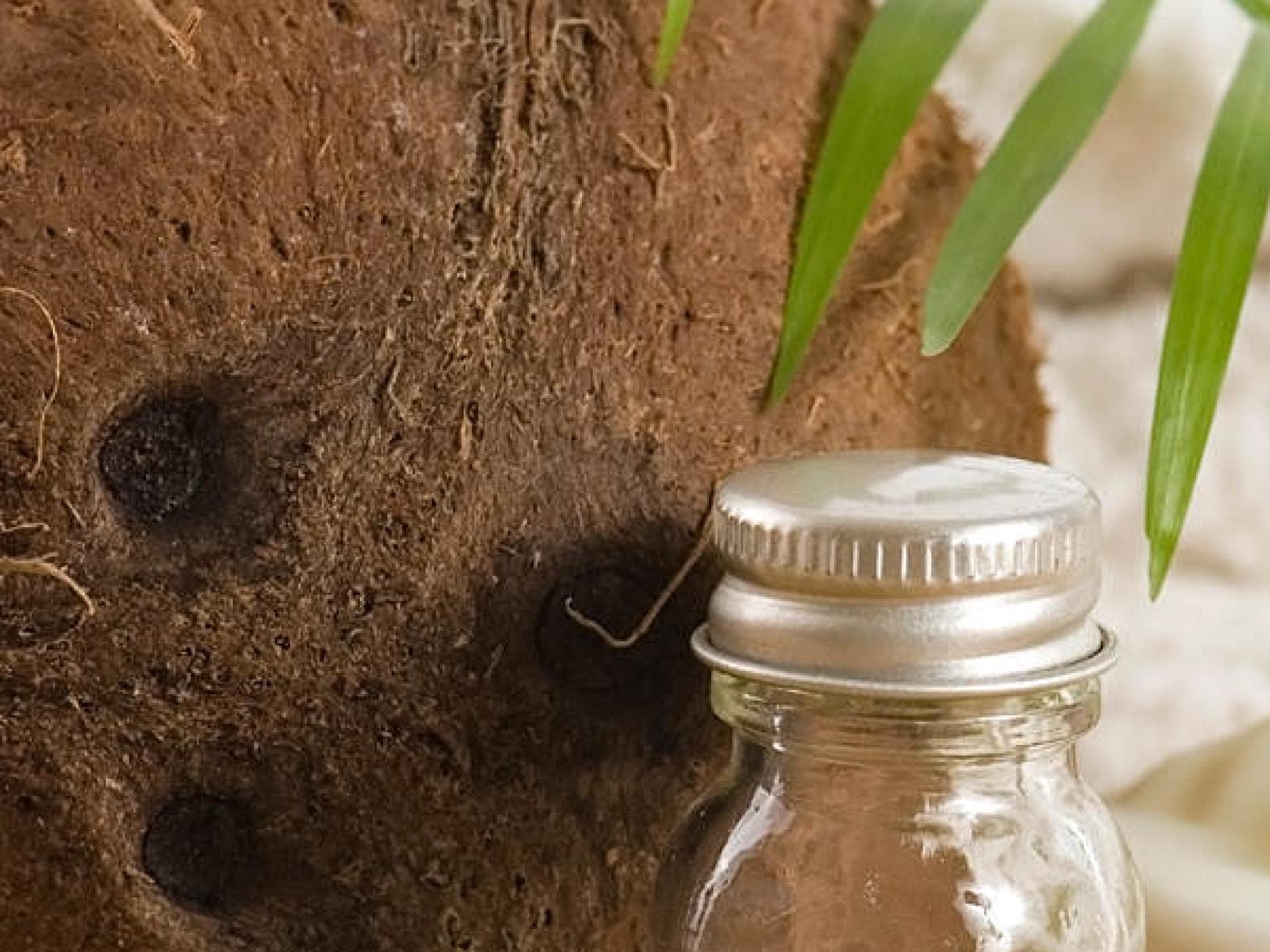 Kokosnuss-Öl für eine schöne Haut