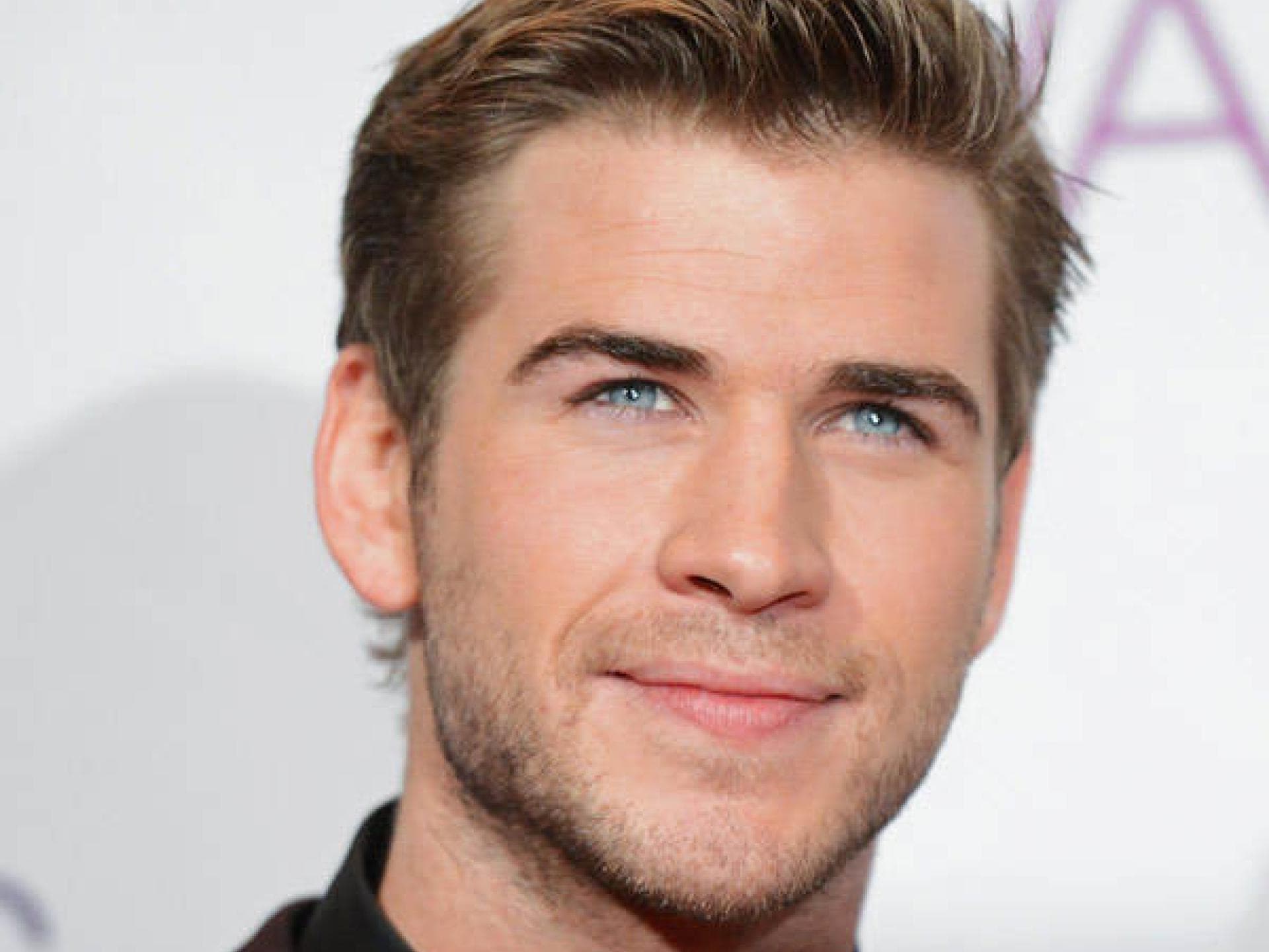 Liam Hemsworth als Gale Liam Hemsworth als Gale