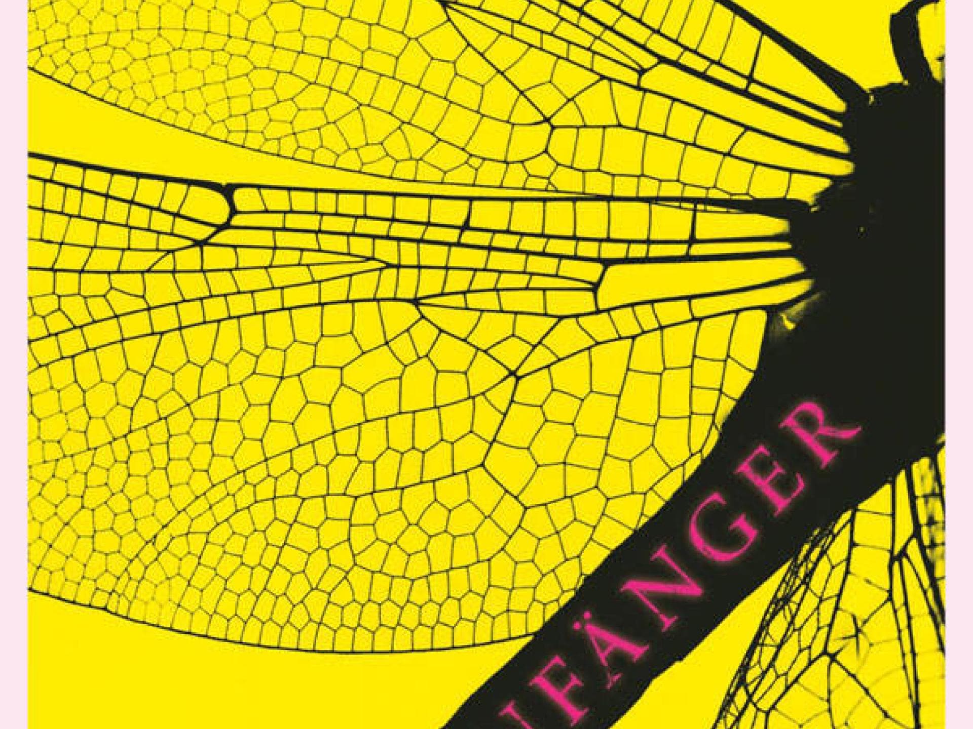 Katja Brandis: Libellenfänger