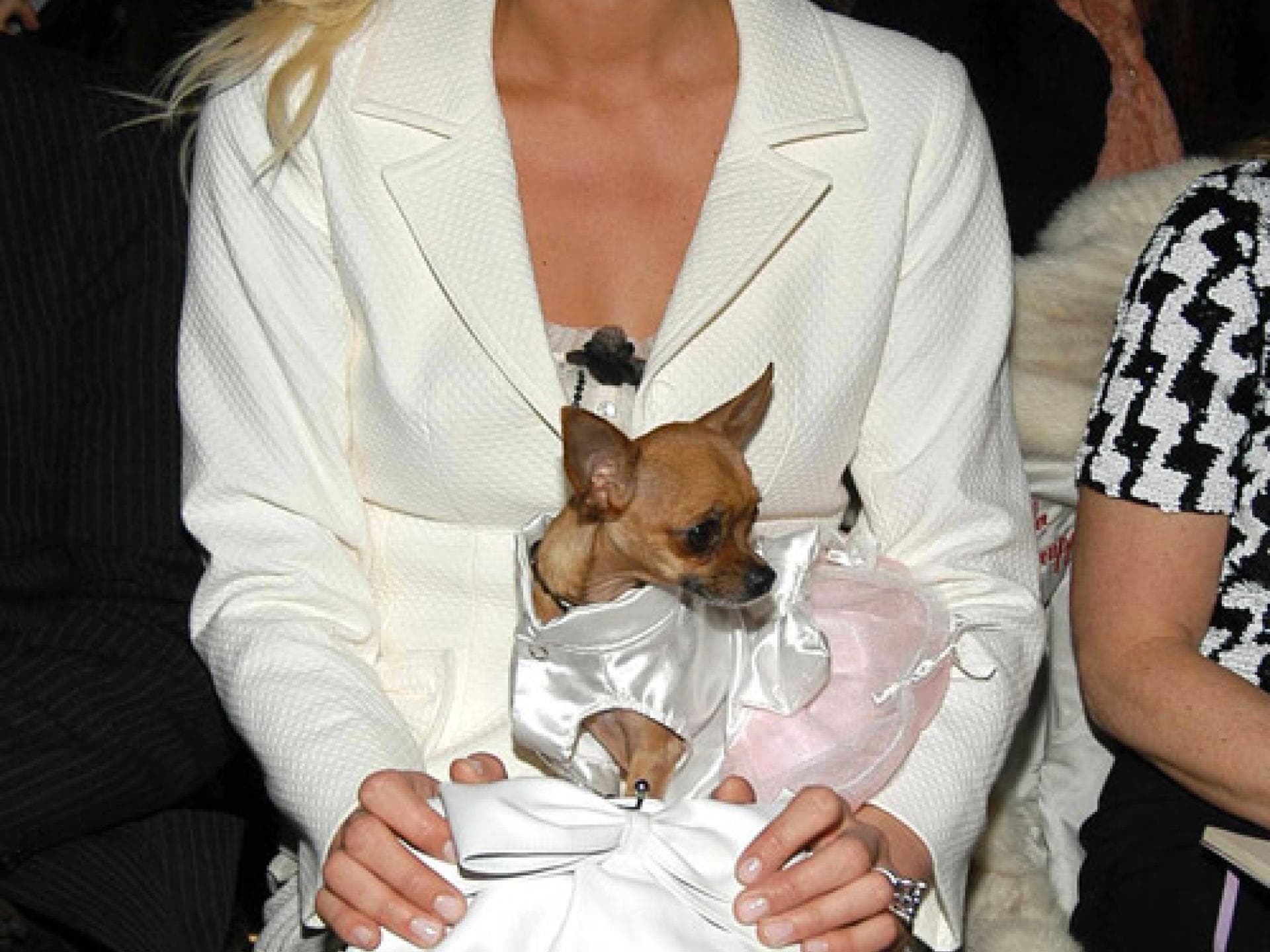 Paris Hilton: Glamour-Girl