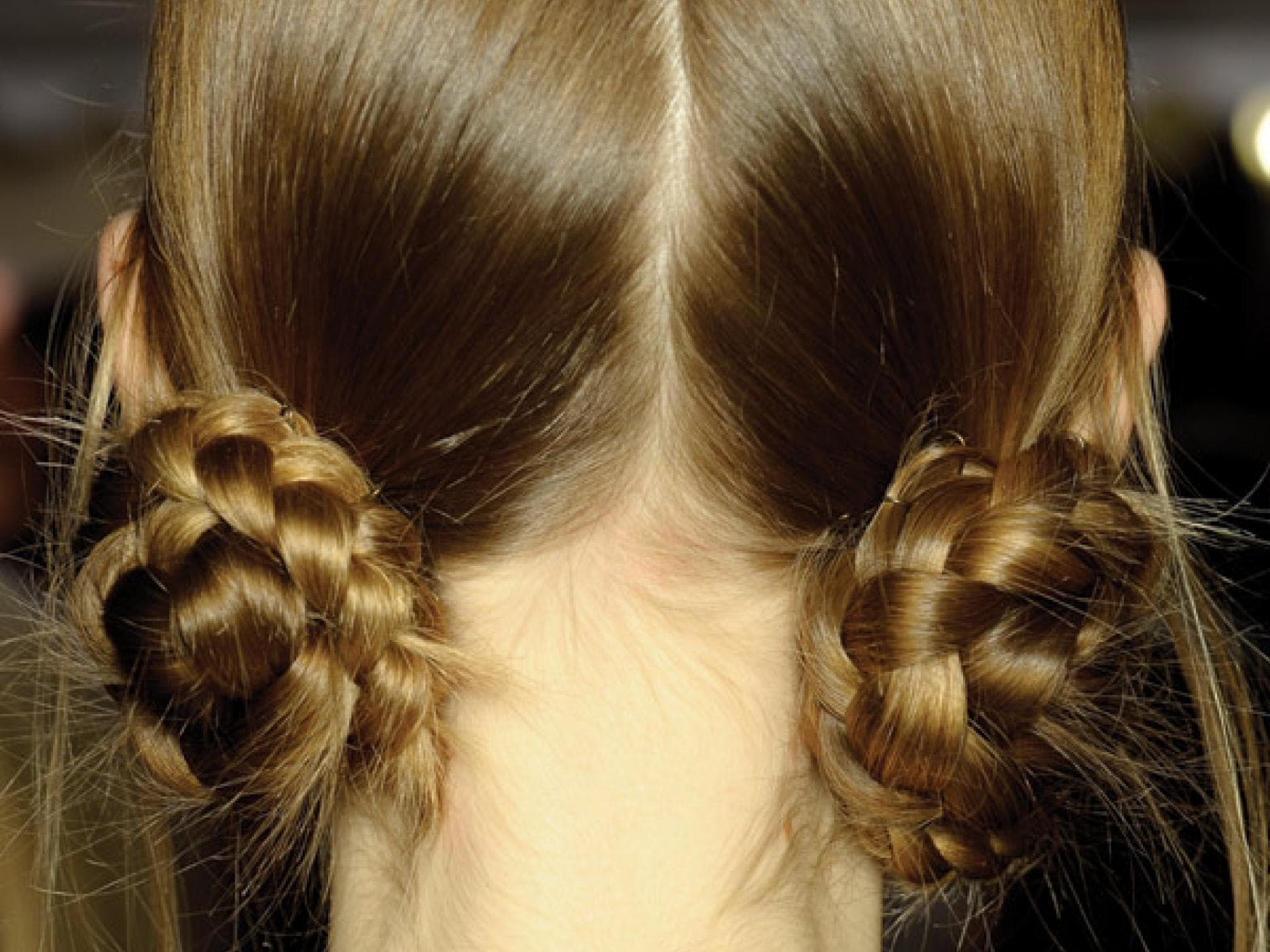 Flechtfrisur mit Schecken