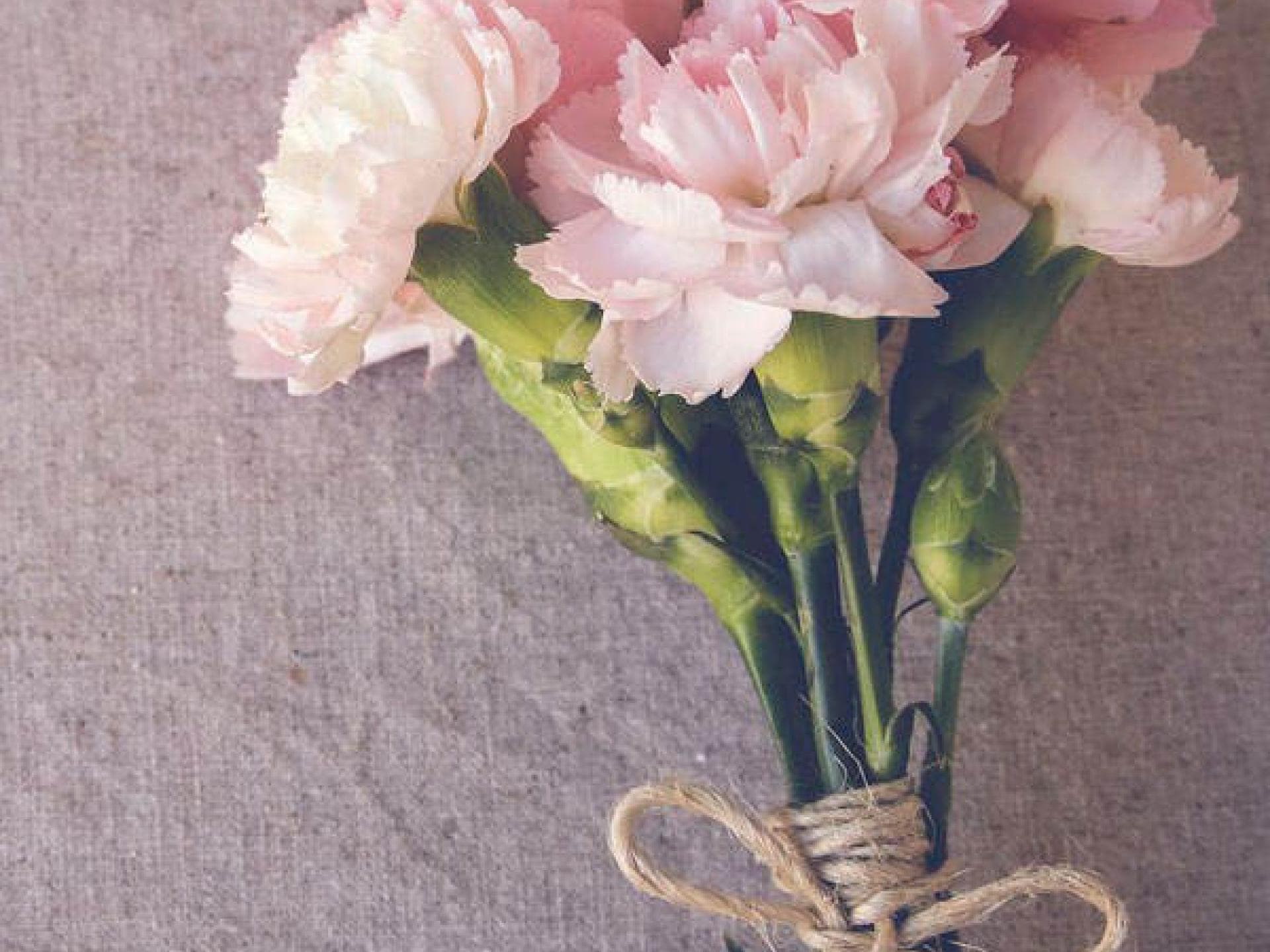 Januar Geburtsblume Januar Geburtsblume