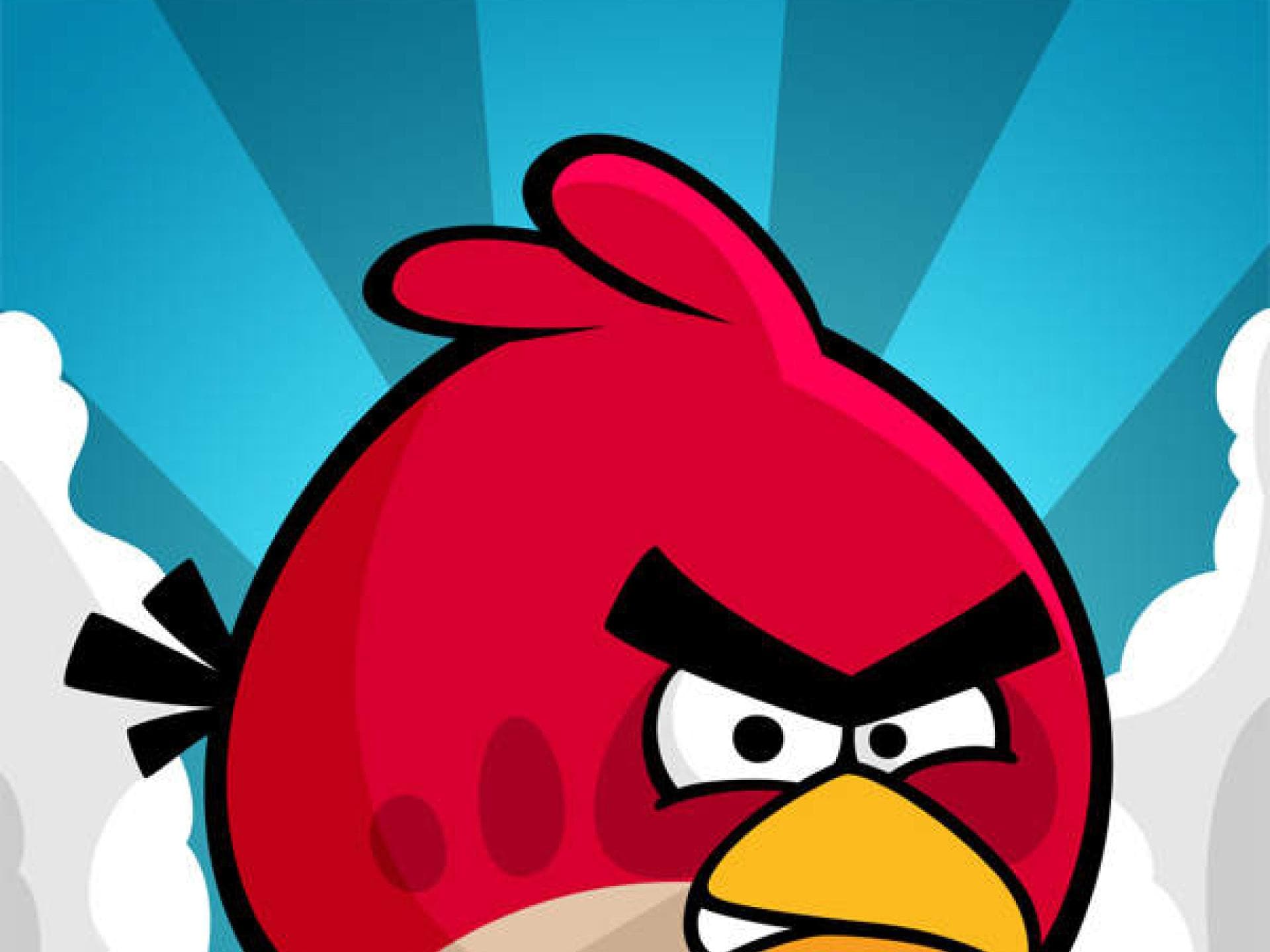 Angry Birds Angry Birds