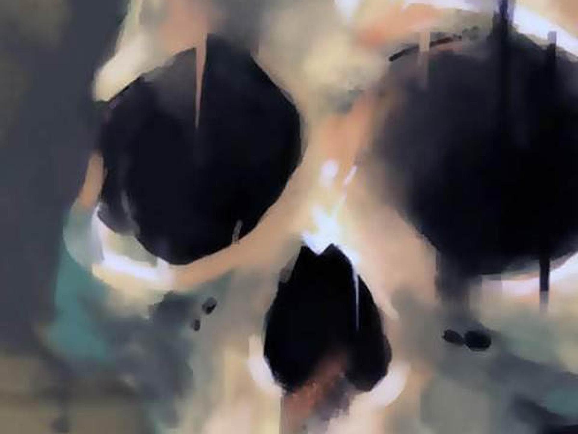 Draw 'n' Sketchpad HD