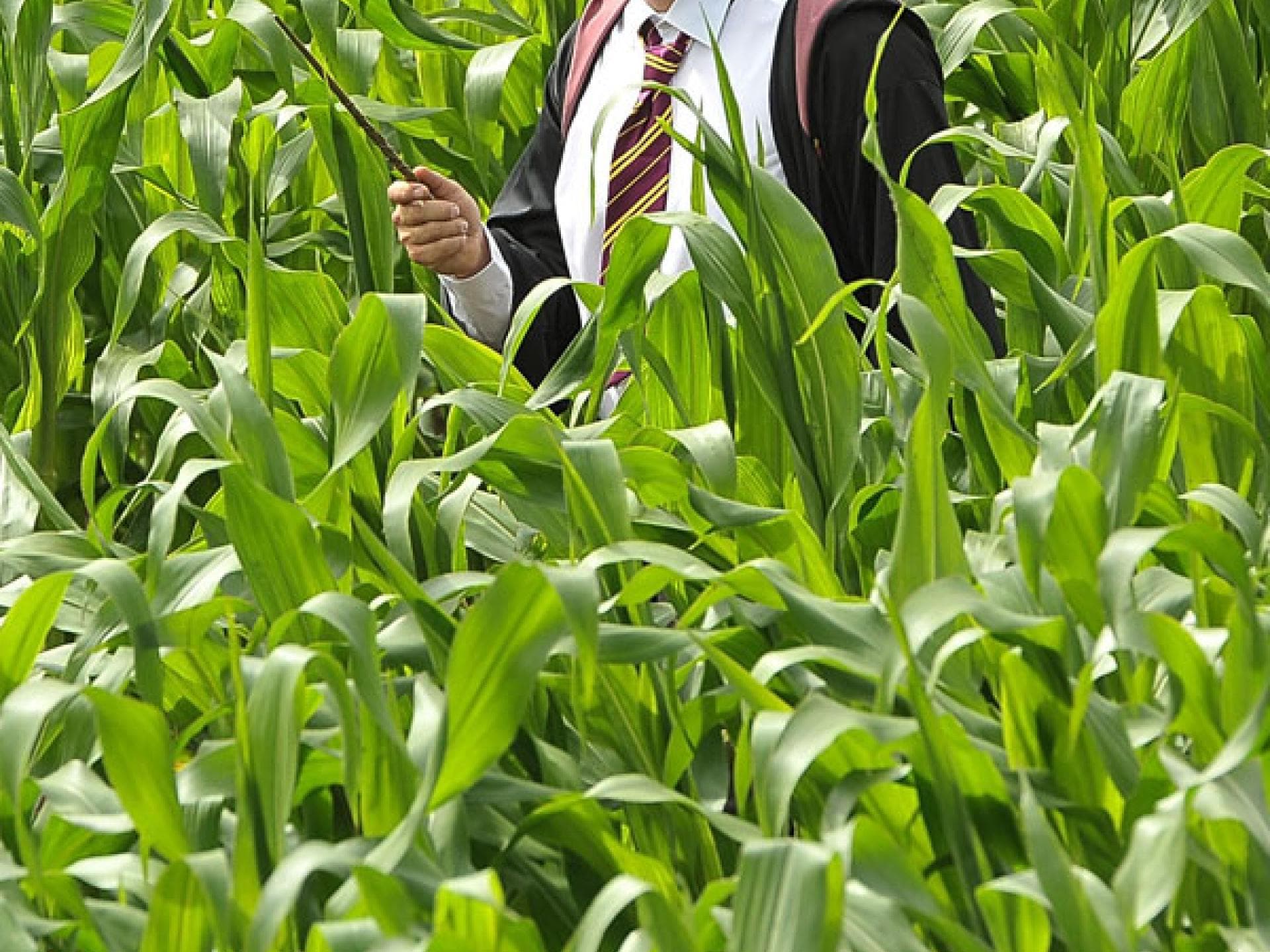 Landwirt Tom Pearcy im Potter-Feld Landwirt Tom Pearcy im Potter-Feld