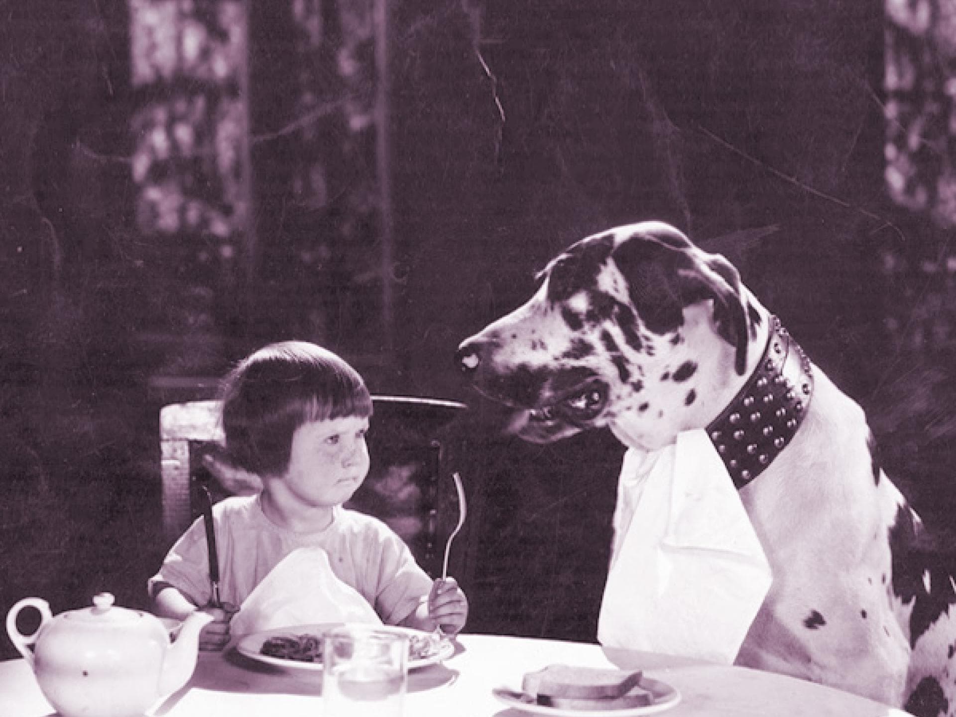 Benimm dich ordentlich!