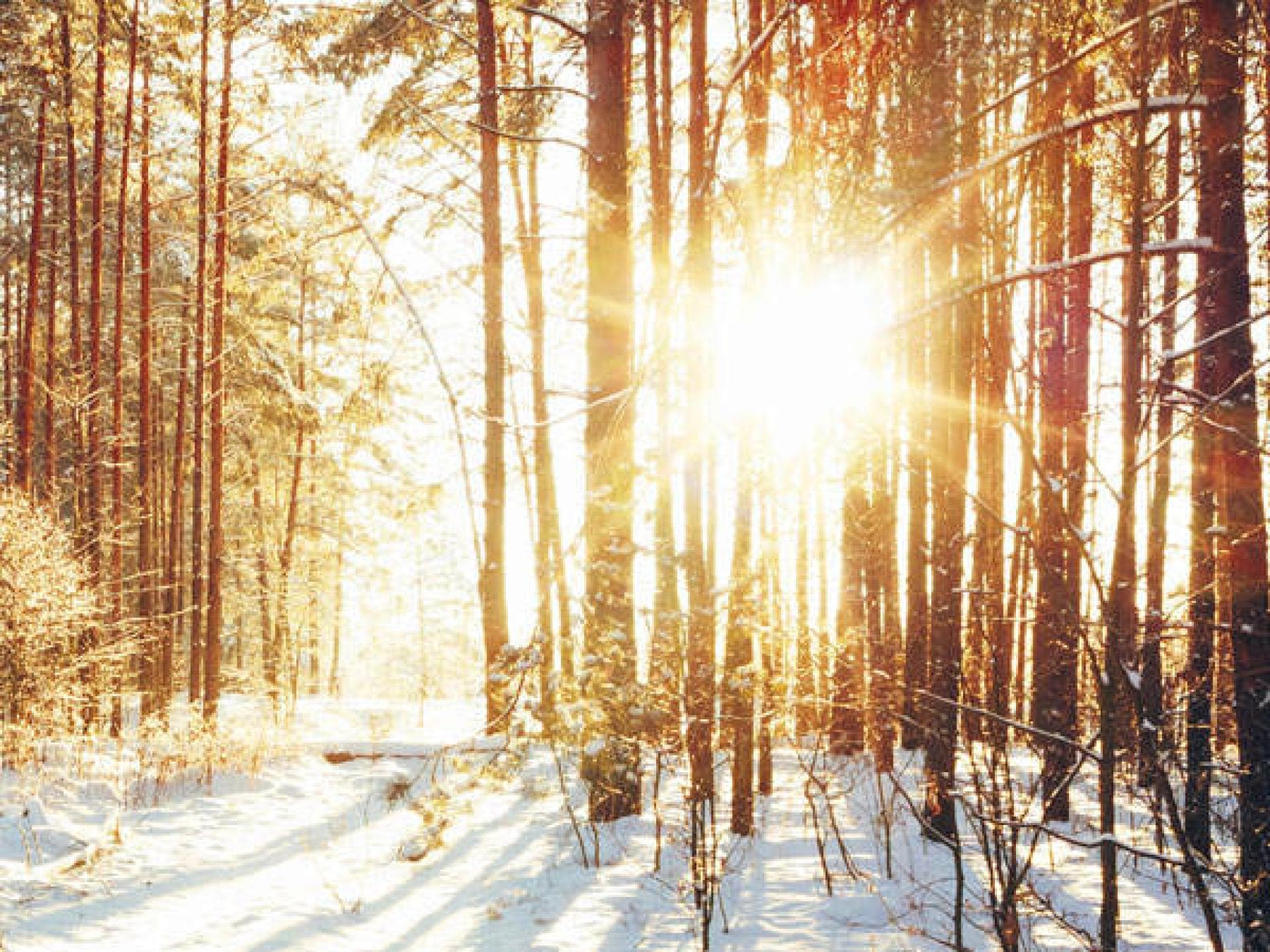 Sonnenaufgang erleben Sonnenaufgang erleben