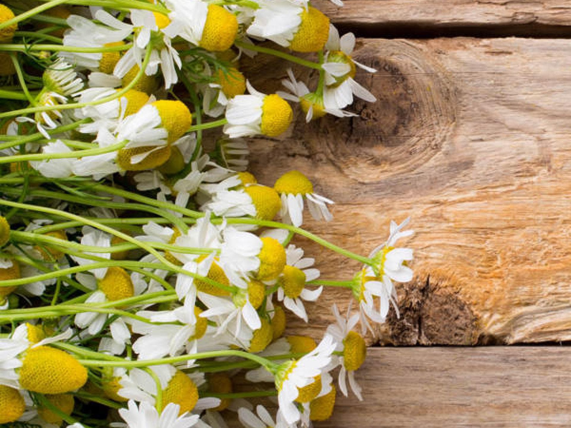 Kamillentee für blonde Haare