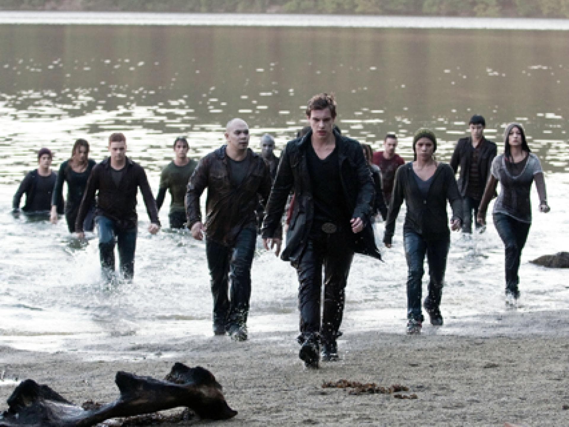 twilight eclipse twilight eclipse