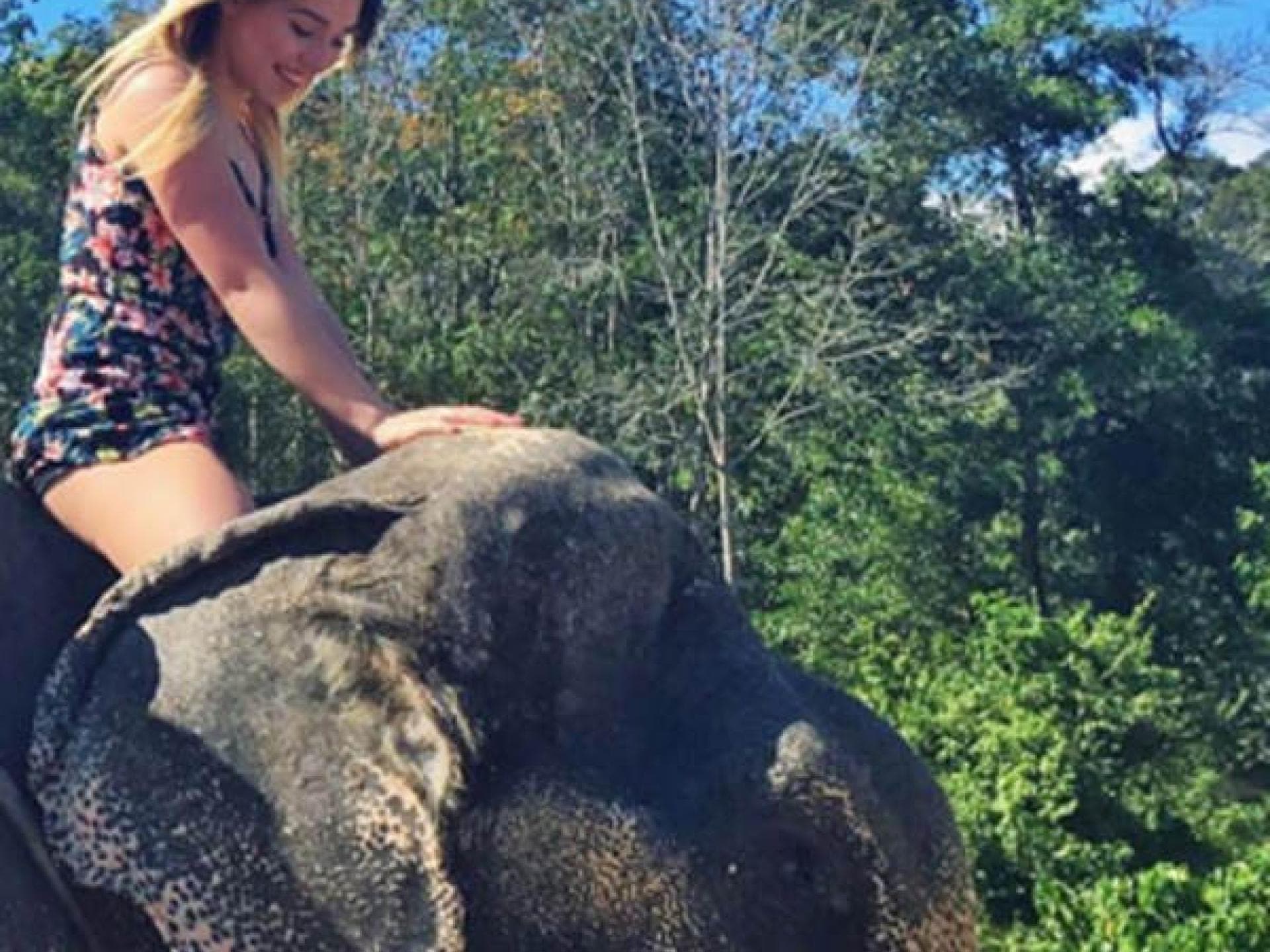 Luna Darko kirtisiert Bibi wegen Elefanten-Foto