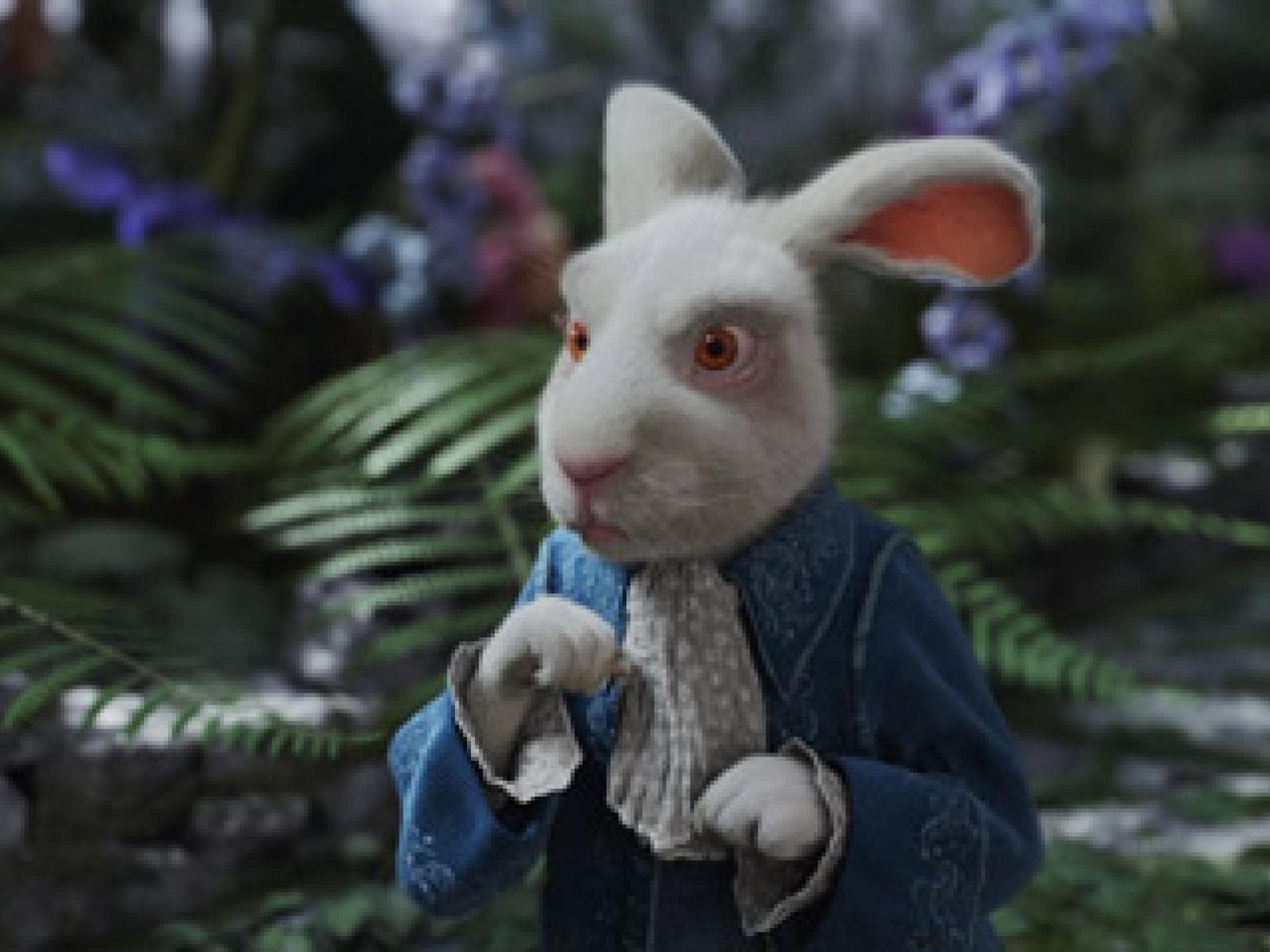 Das weiße Kaninchen