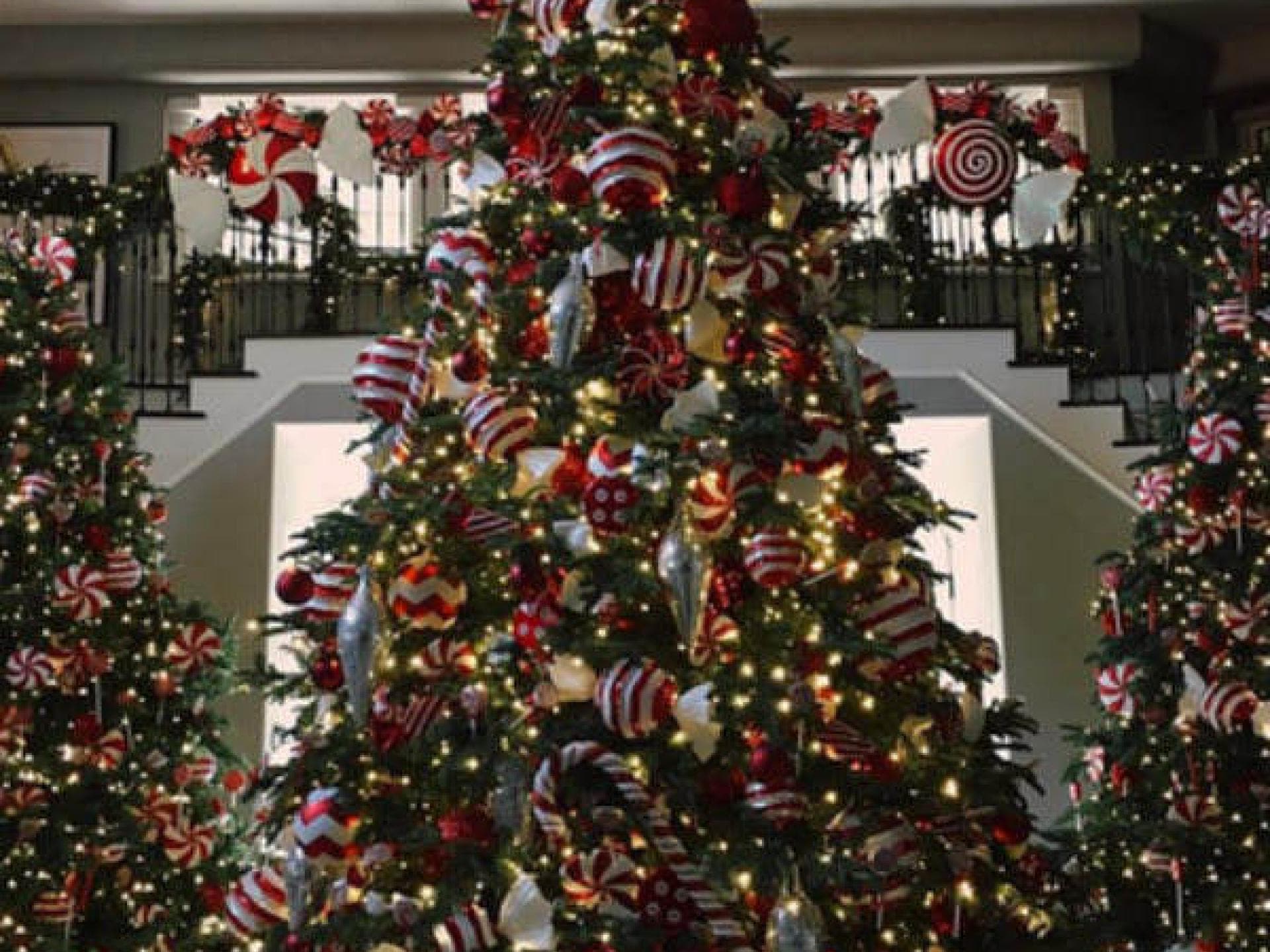 Kendall Jenner: Weihnachtsbaum Kendall Jenner: Weihnachtsbaum