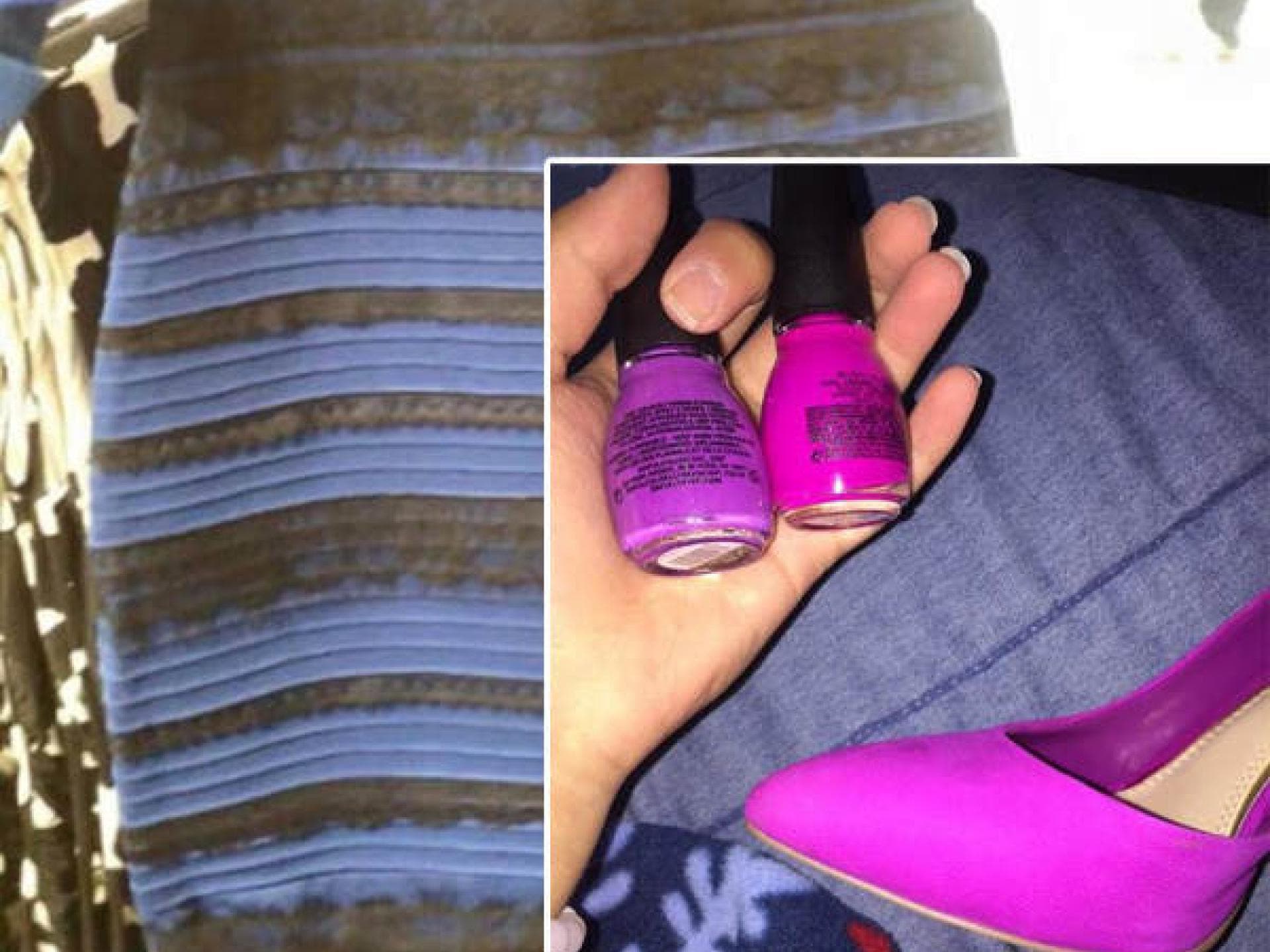 Internet-Hypes: #TheShoe, #TheDress, #TheCat...