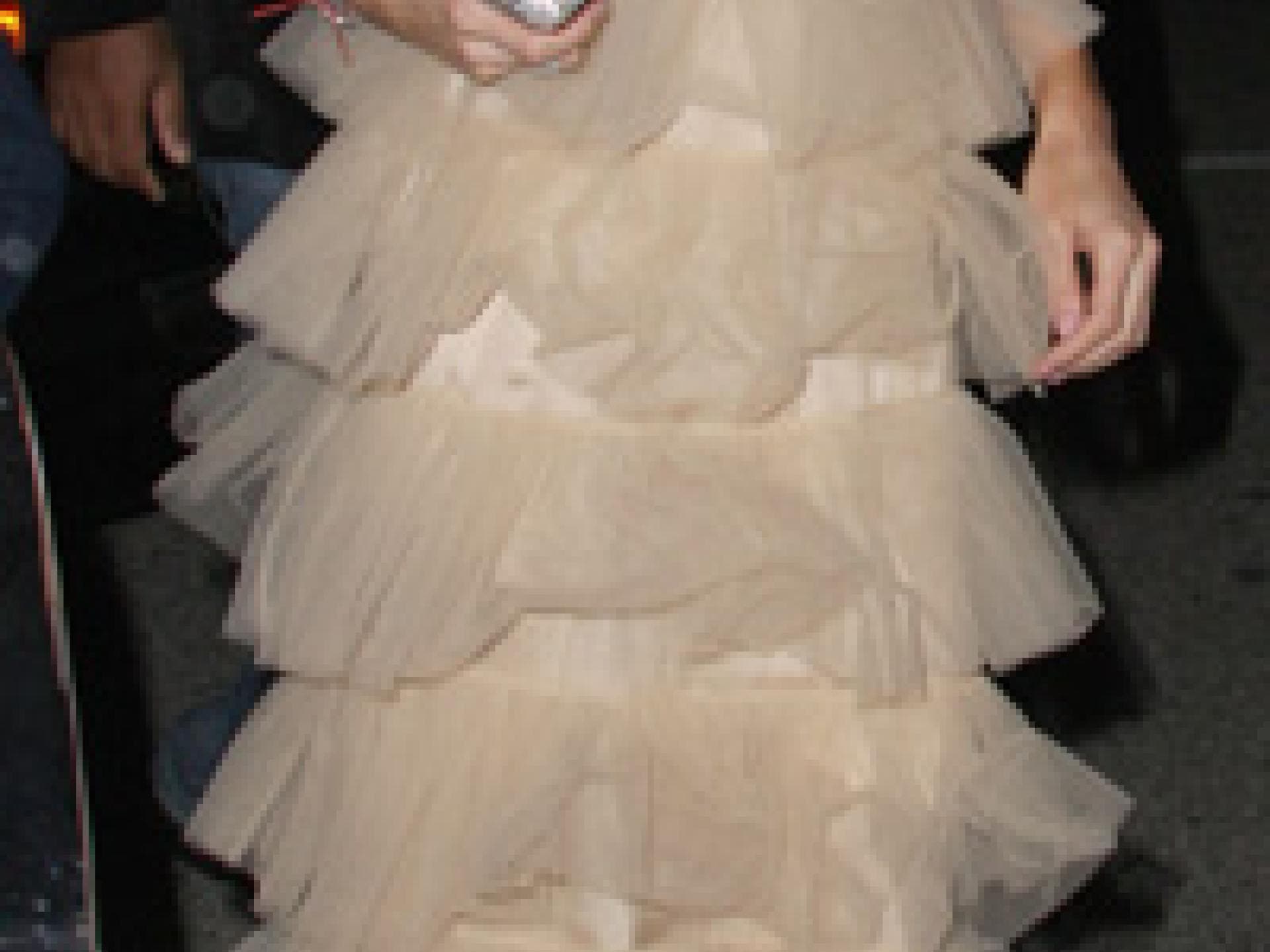 hot oder horror nr 7 hot oder horror nr 7