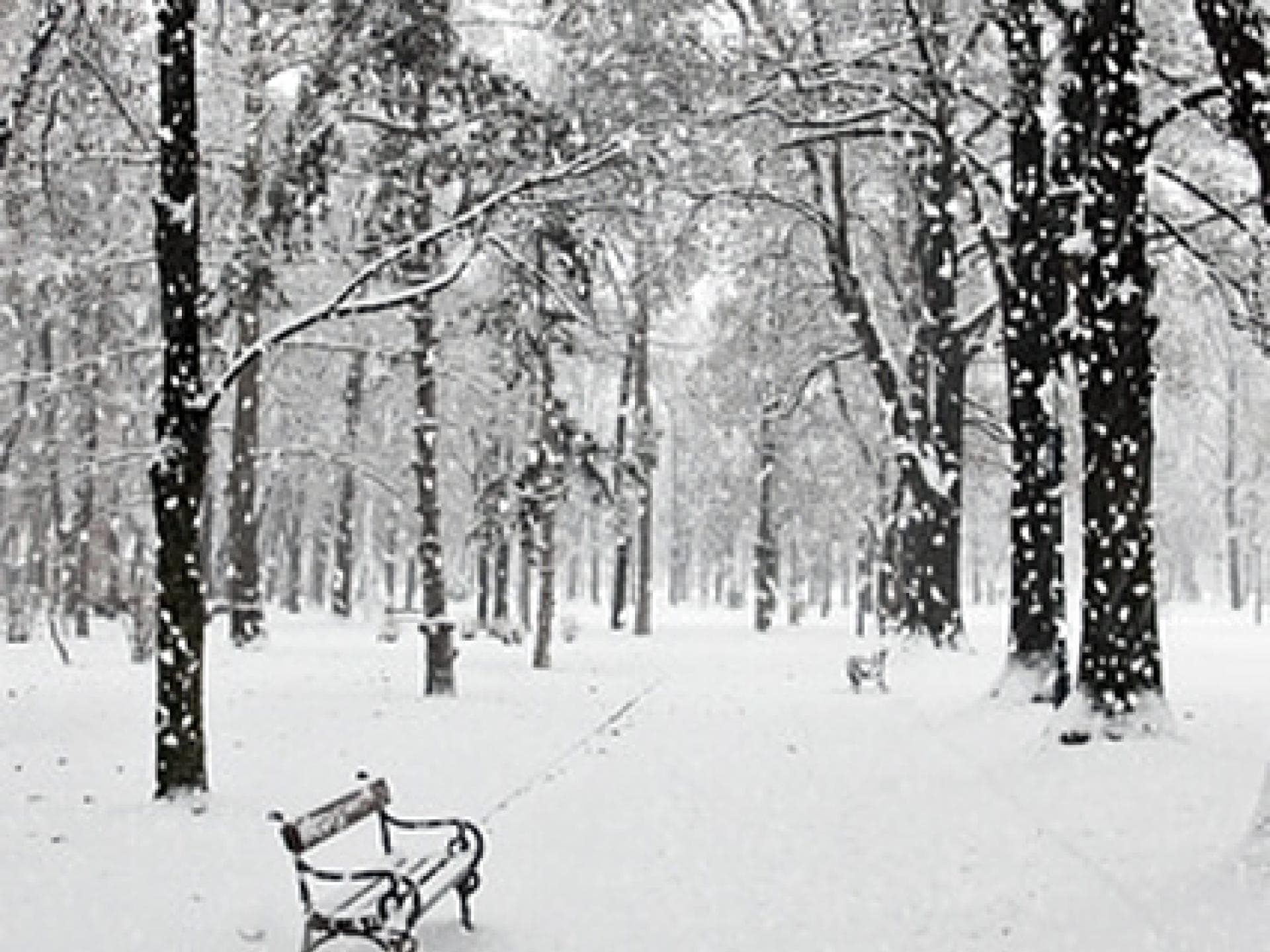 Jungs & Schneestürme