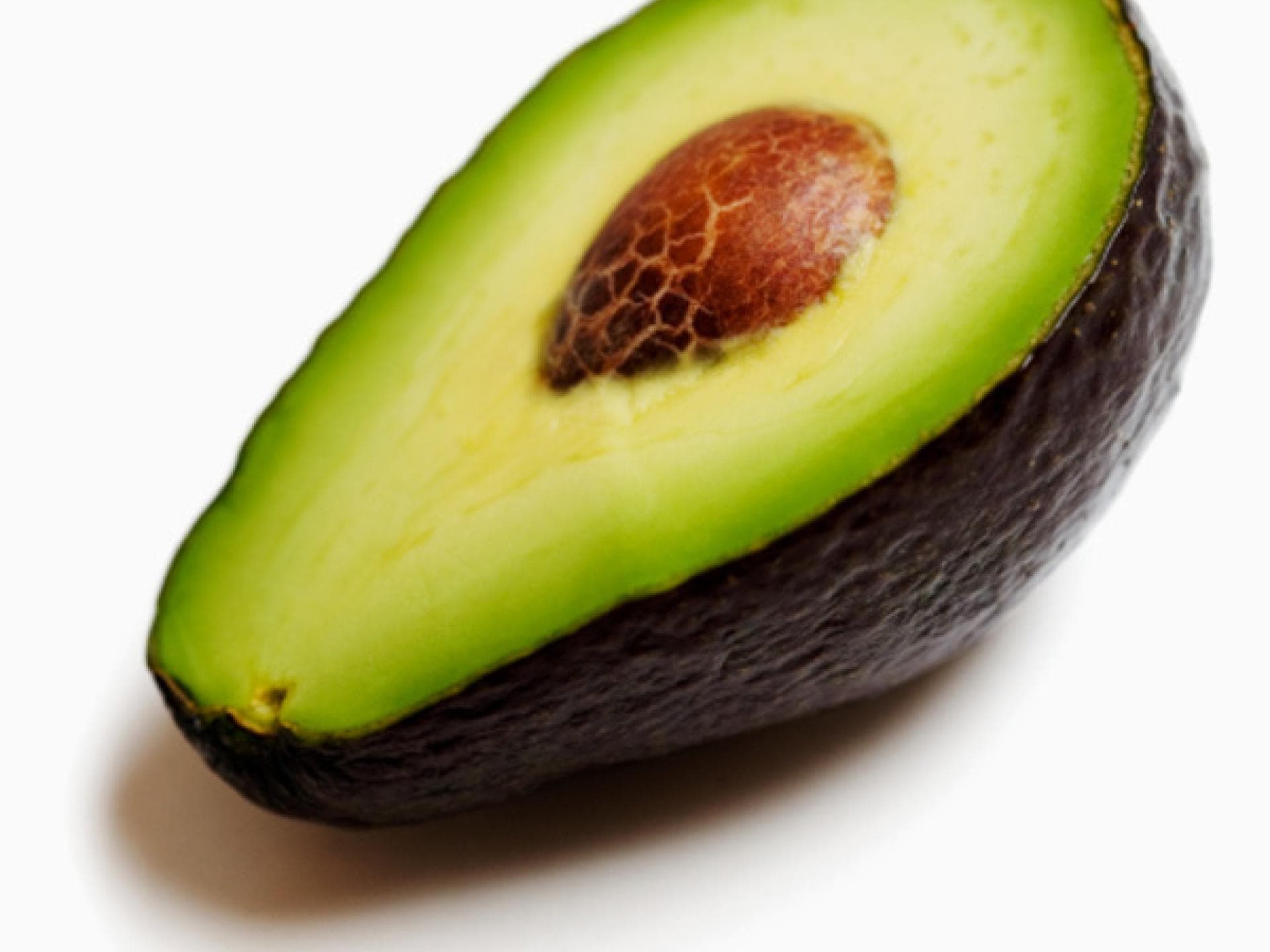 Avocado-Kur Avocado-Kur