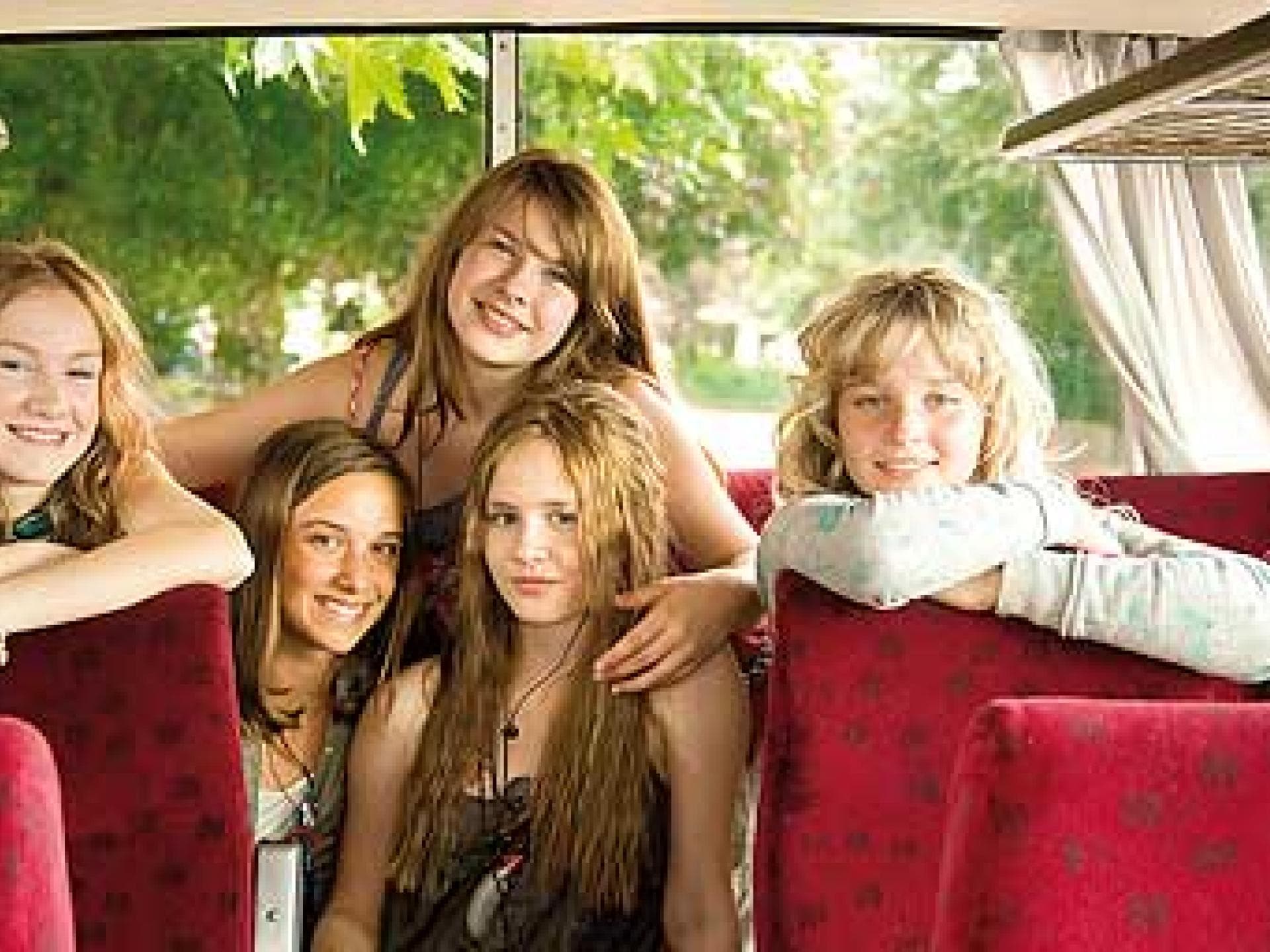 die wilden huehner und das leben