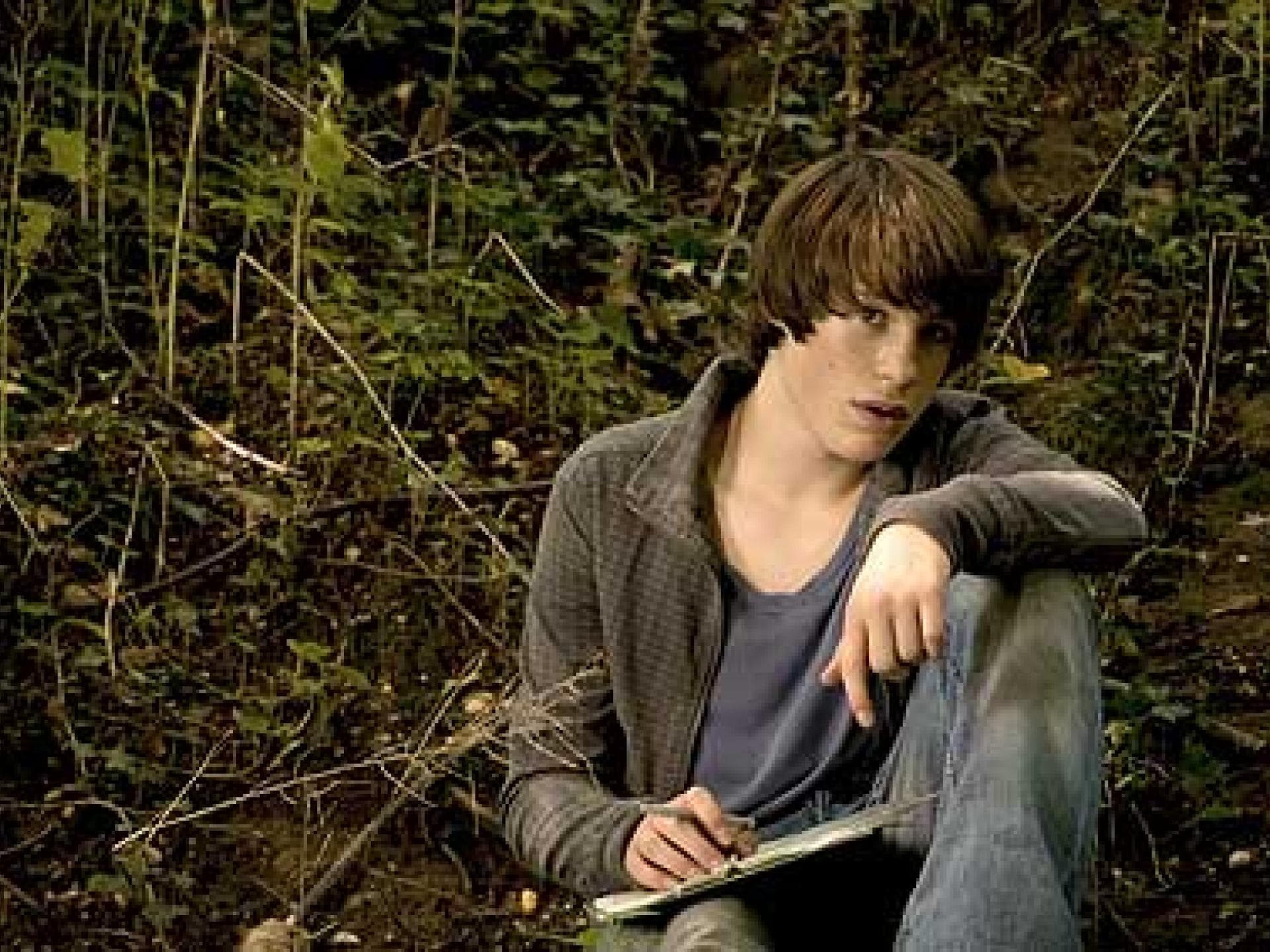 die wilden huehner und das leben