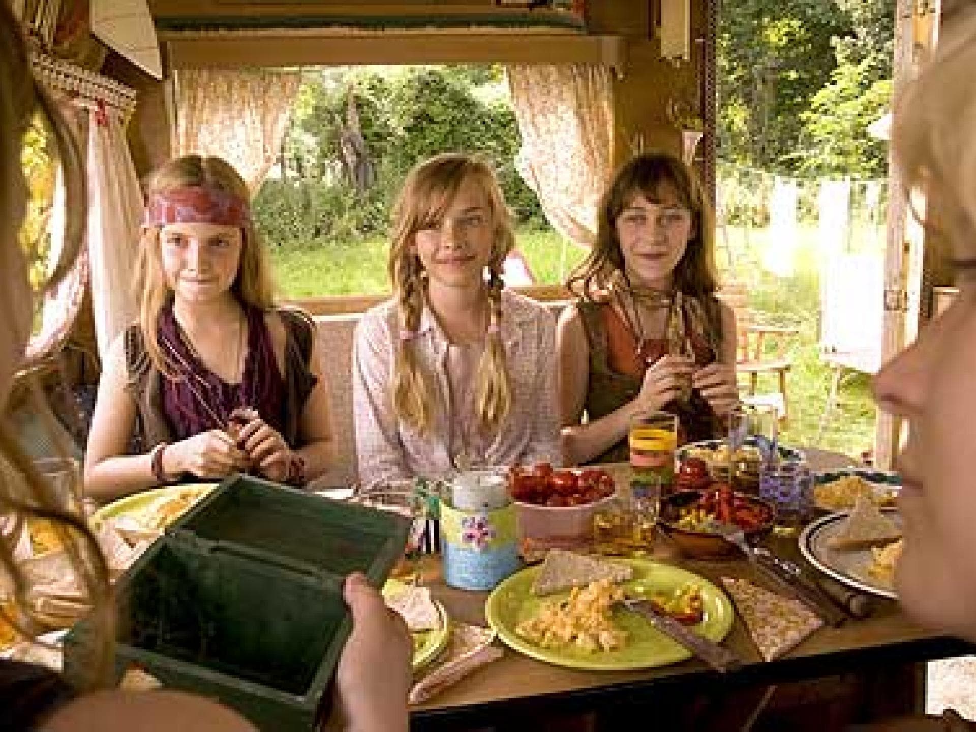 die wilden huehner und das leben