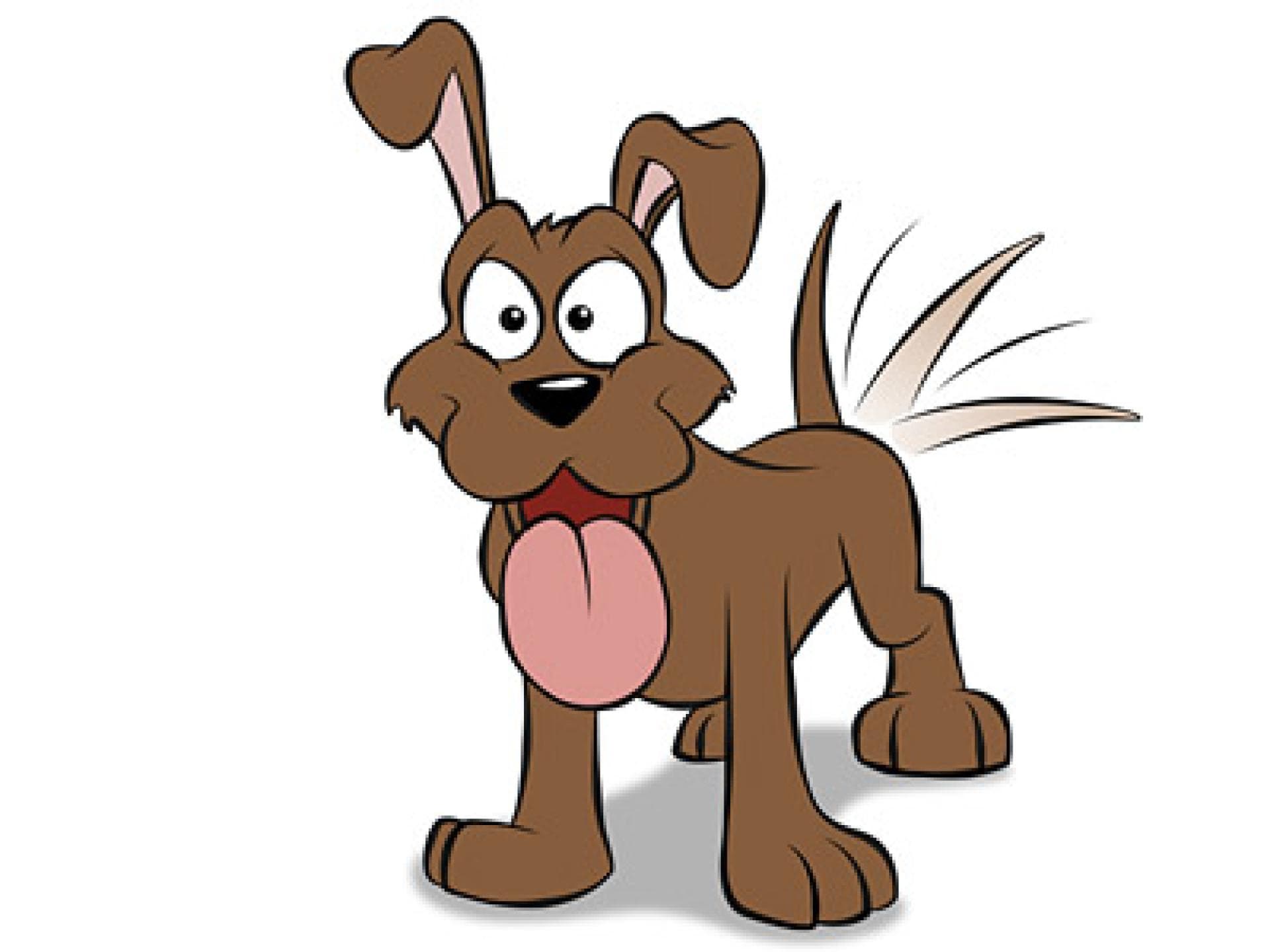 Neckischer Hunde-Spruch über Boys