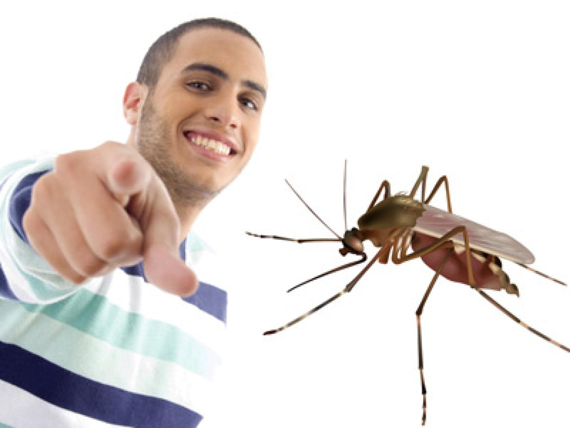 Funny Jokes über Jungs