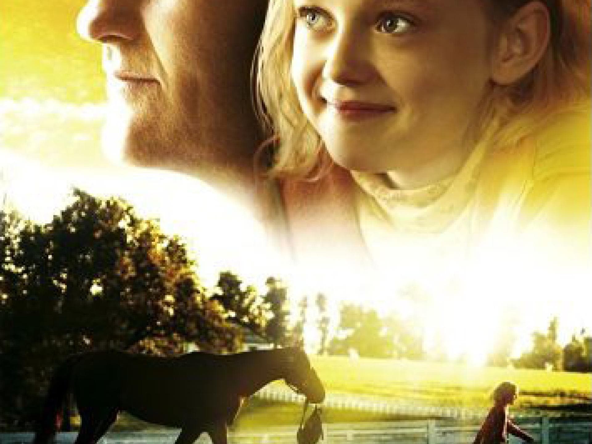 Sonya - das Pferd aus dem Kinofilm Dreamer Sonya - das Pferd aus dem Kinofilm Dreamer