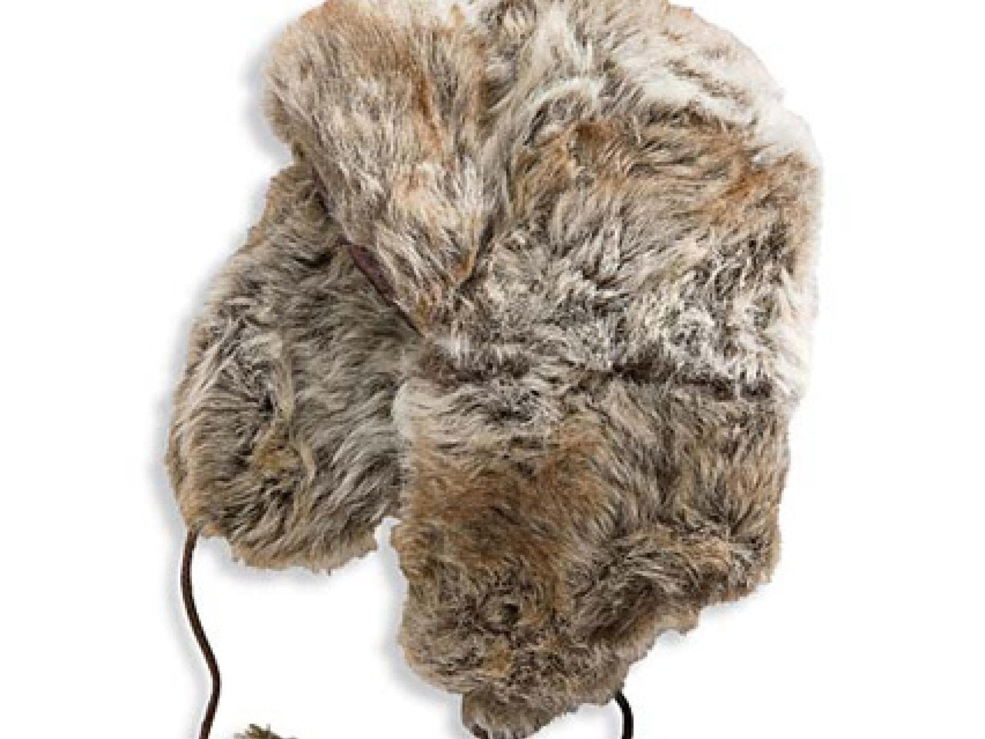 Warm anziehen und Erkältung vorbeugen