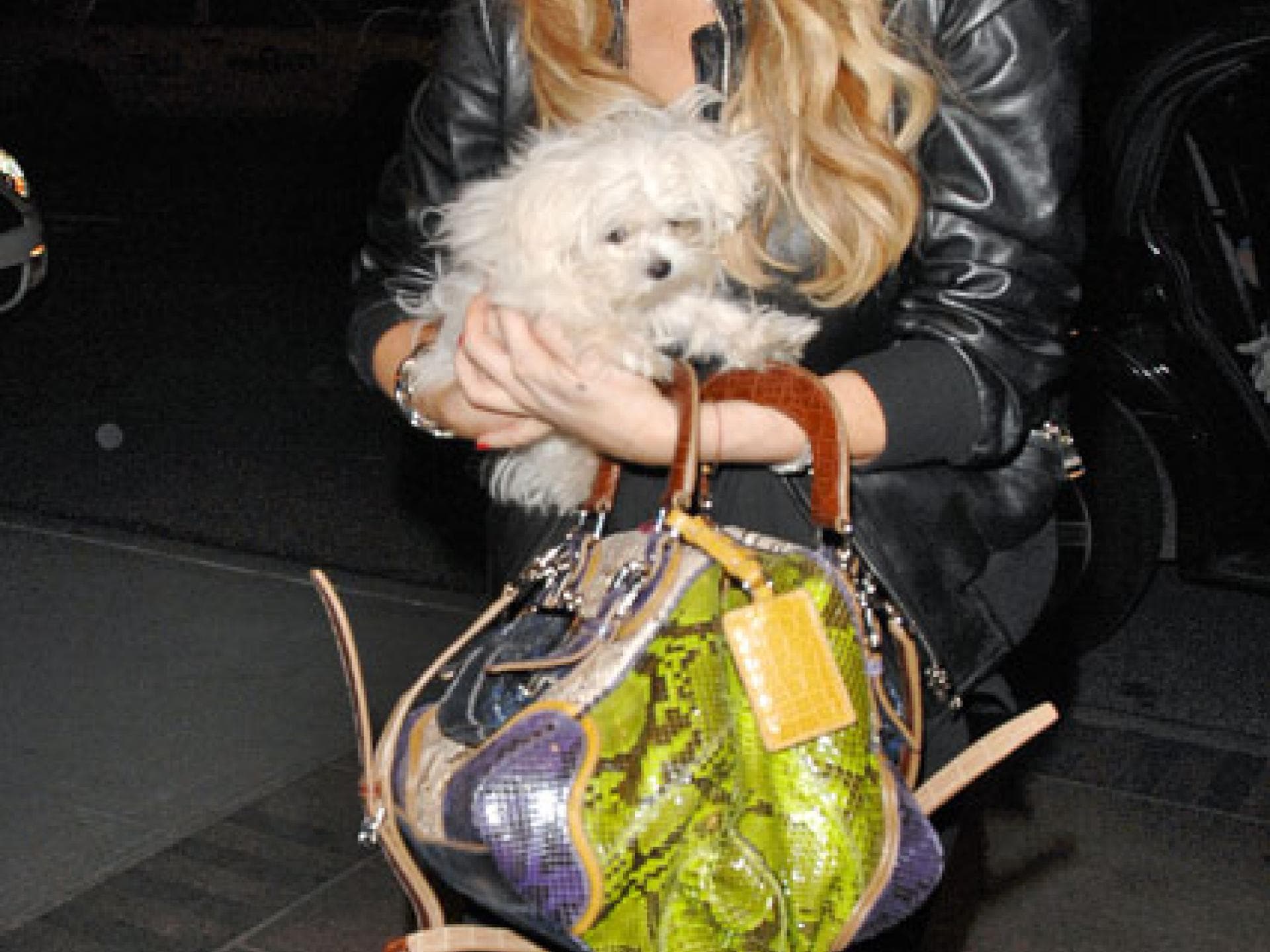 Lindsay Lohan mit ihrem Hund
