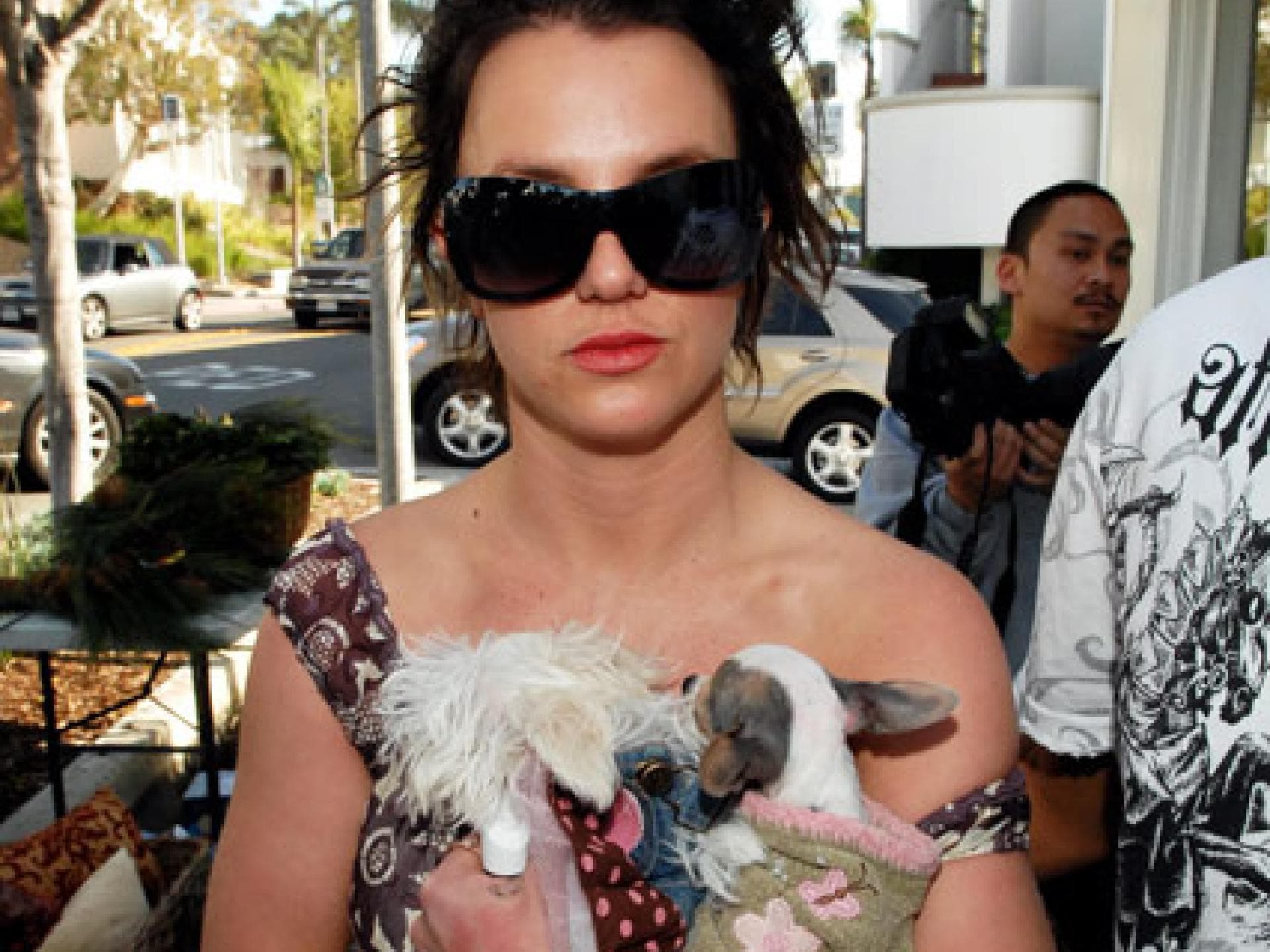 Britney Spears mit ihren Hunden