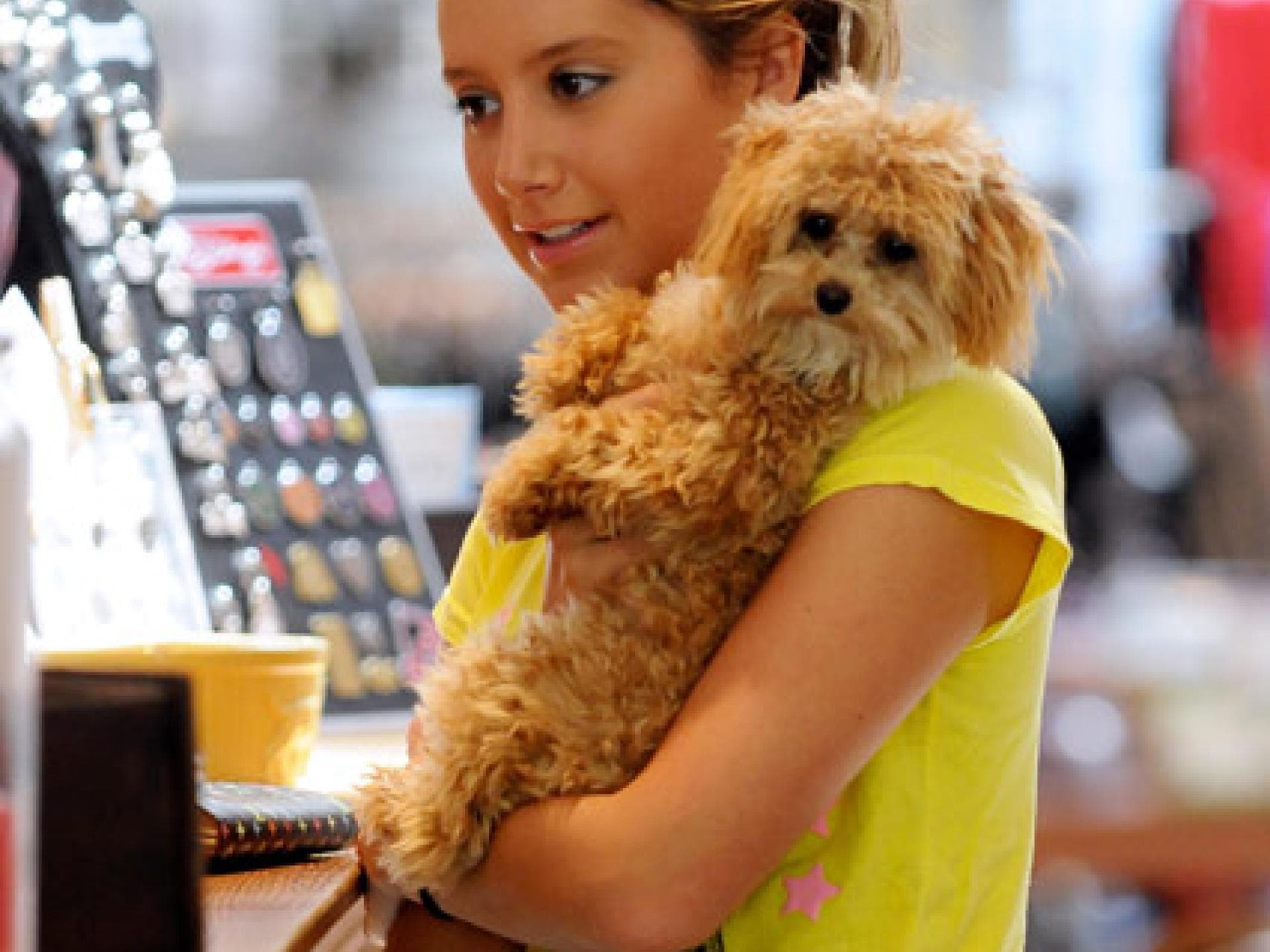 Ashley Tisdale und ihr Teddy-Hund