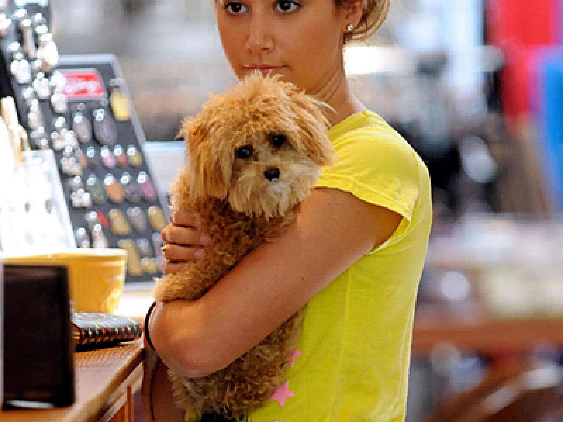 Ashley Tisdale mit ihrem süßem Hund auf dem Arm