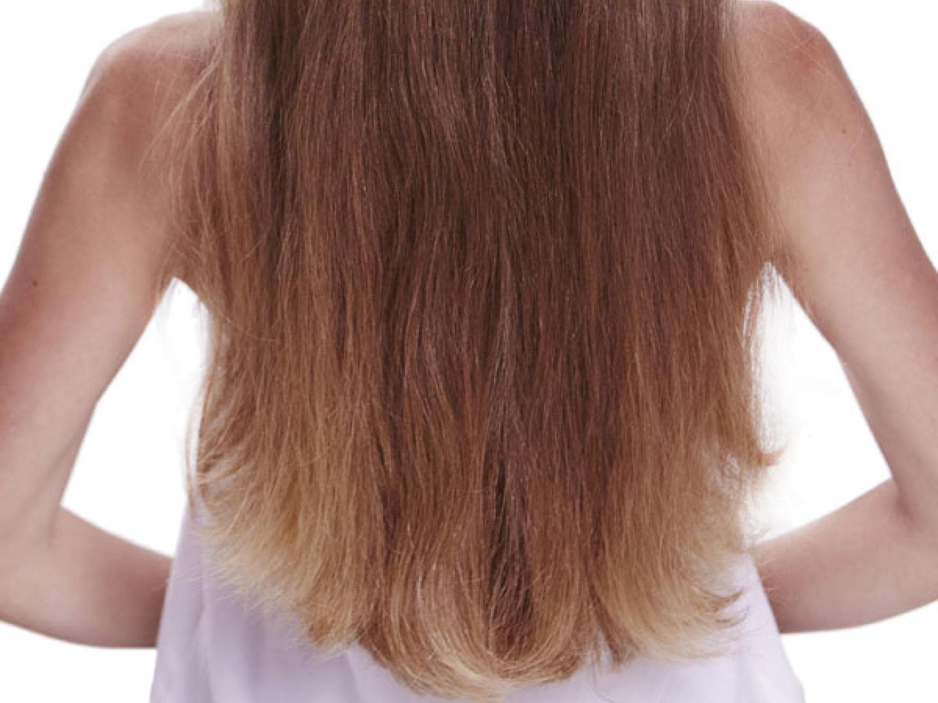 Halber Dutt Halber Dutt