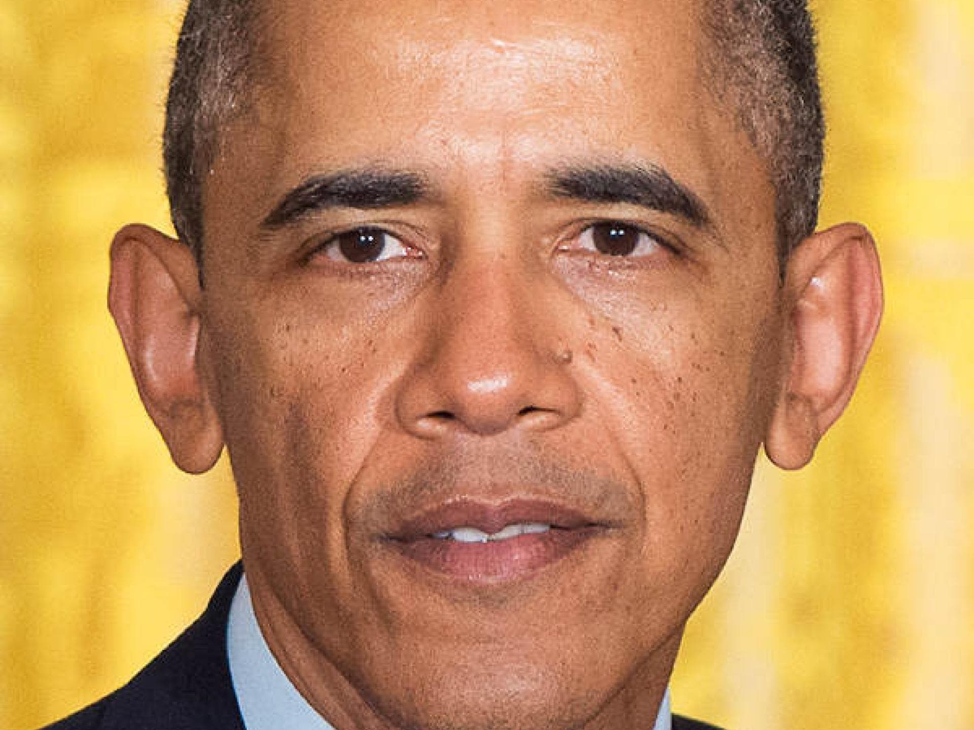 Barack Obama mit Augenbrauen