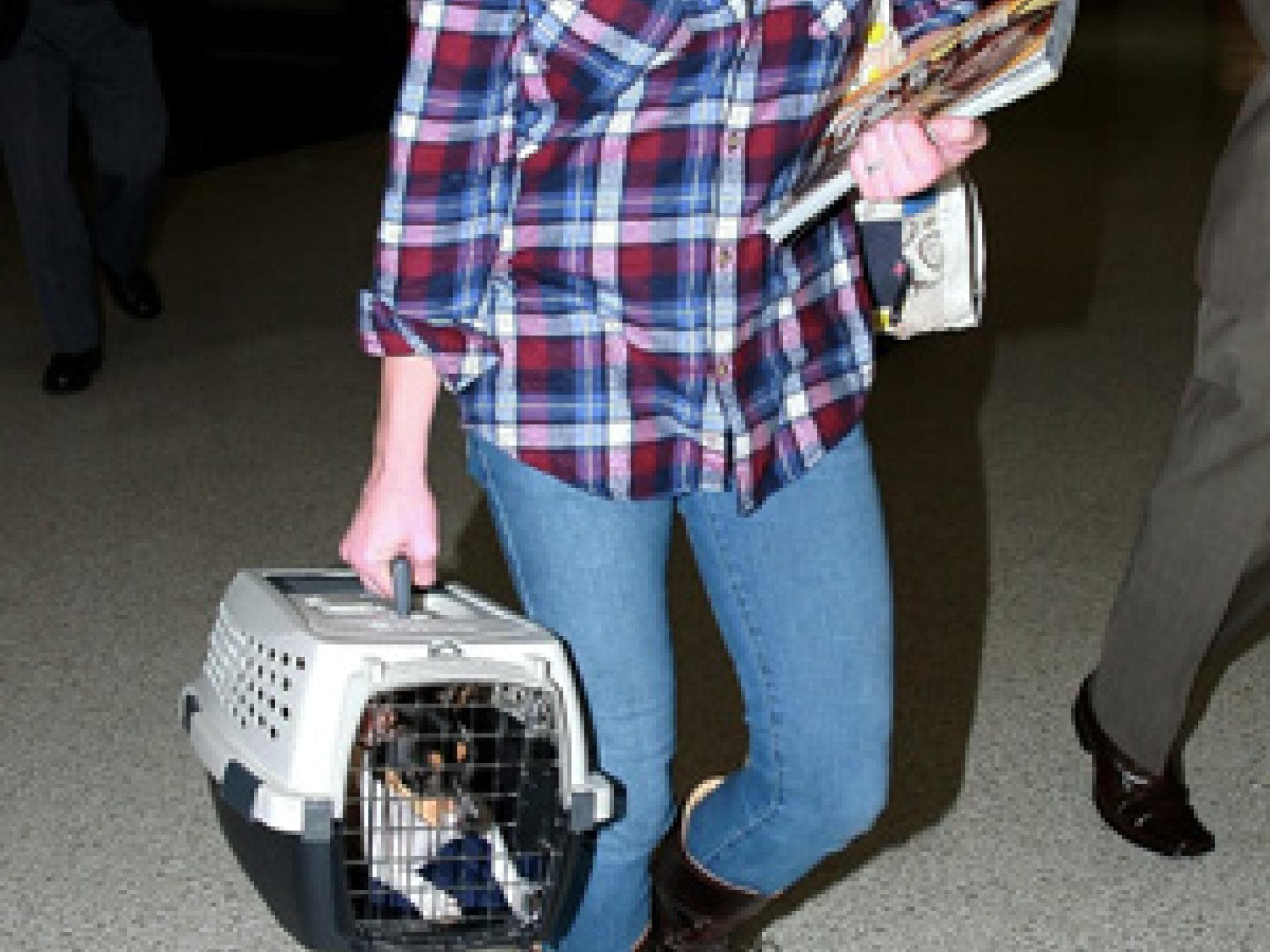 Ashley Greene mit Karo-Hemd