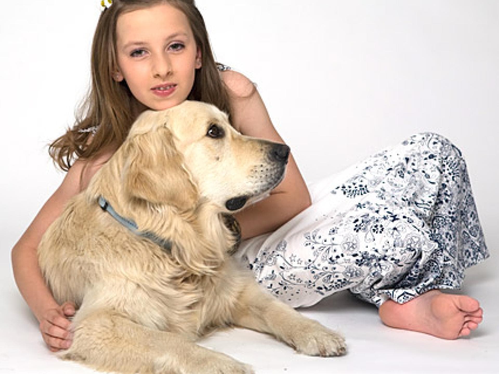 fotoshooting bilder mit hund