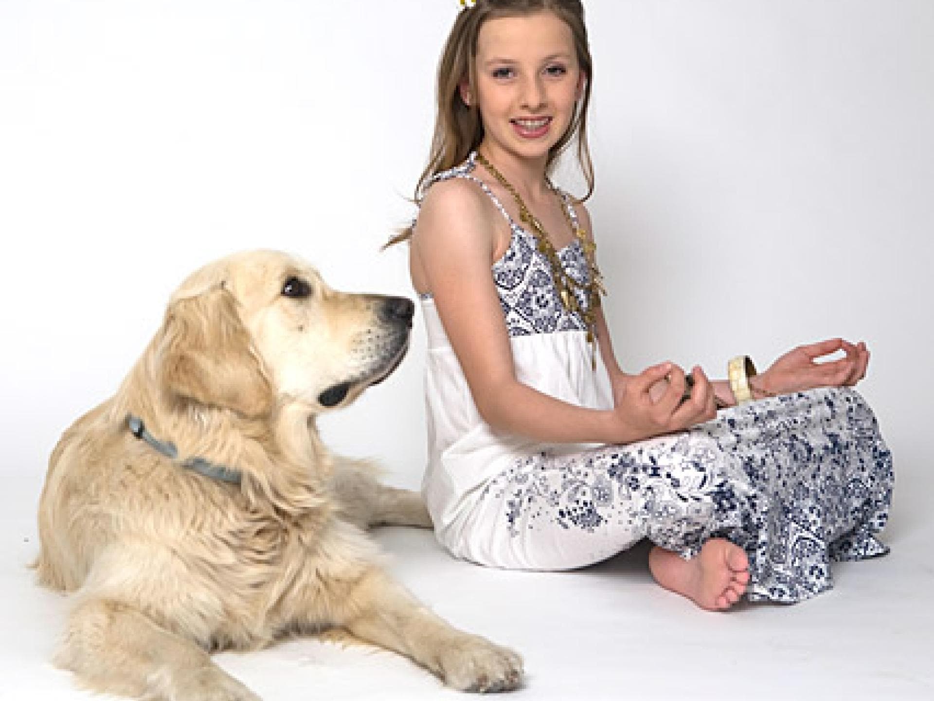 fotoshooting bilder mit hund
