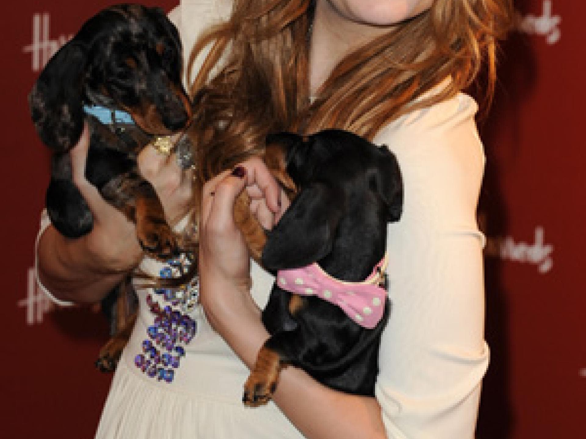 Mischa Barton mit Hundewelpen