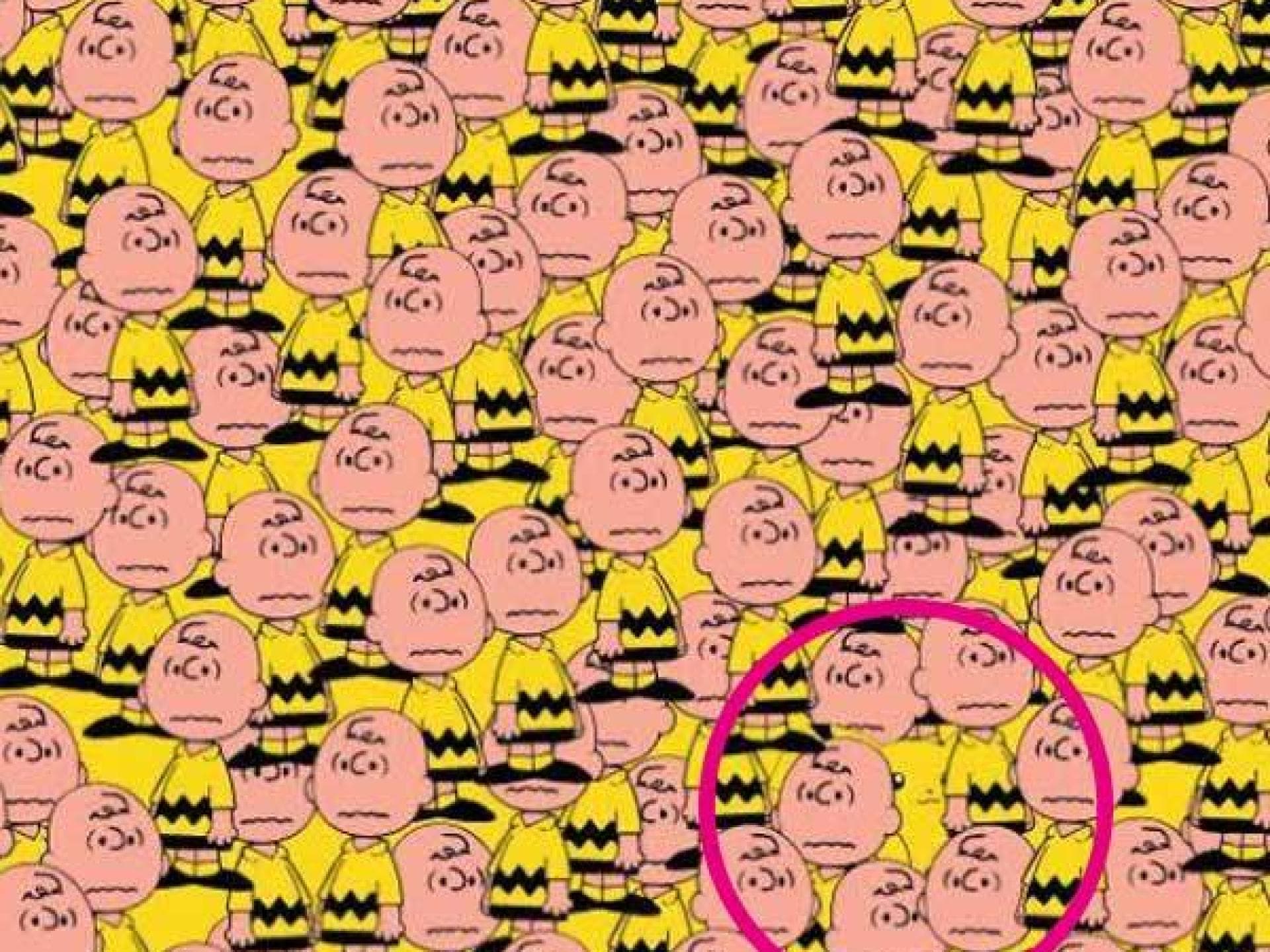 Findest du das Pikachu? - Lösung