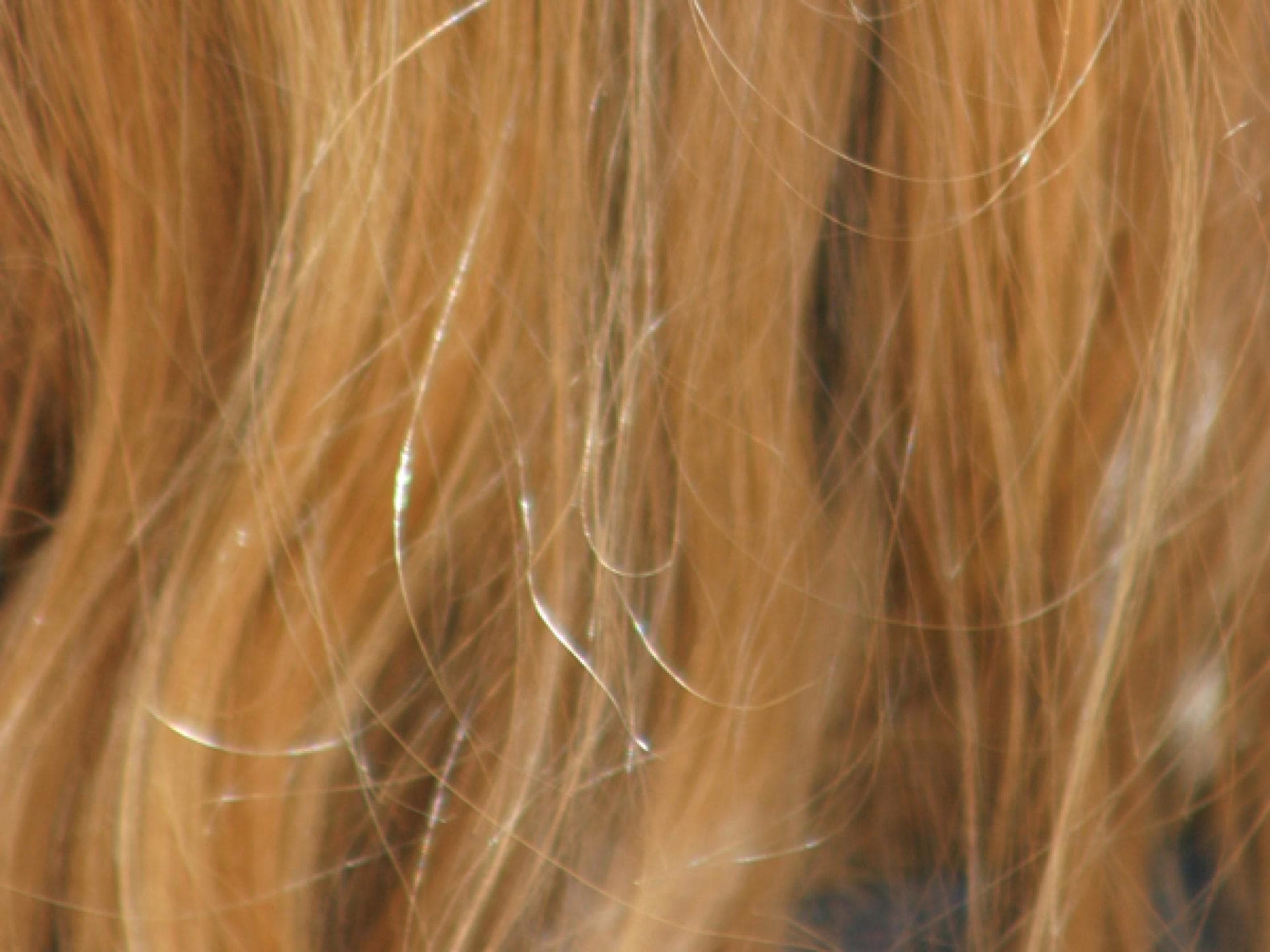 Elektrische Haare: Ursache