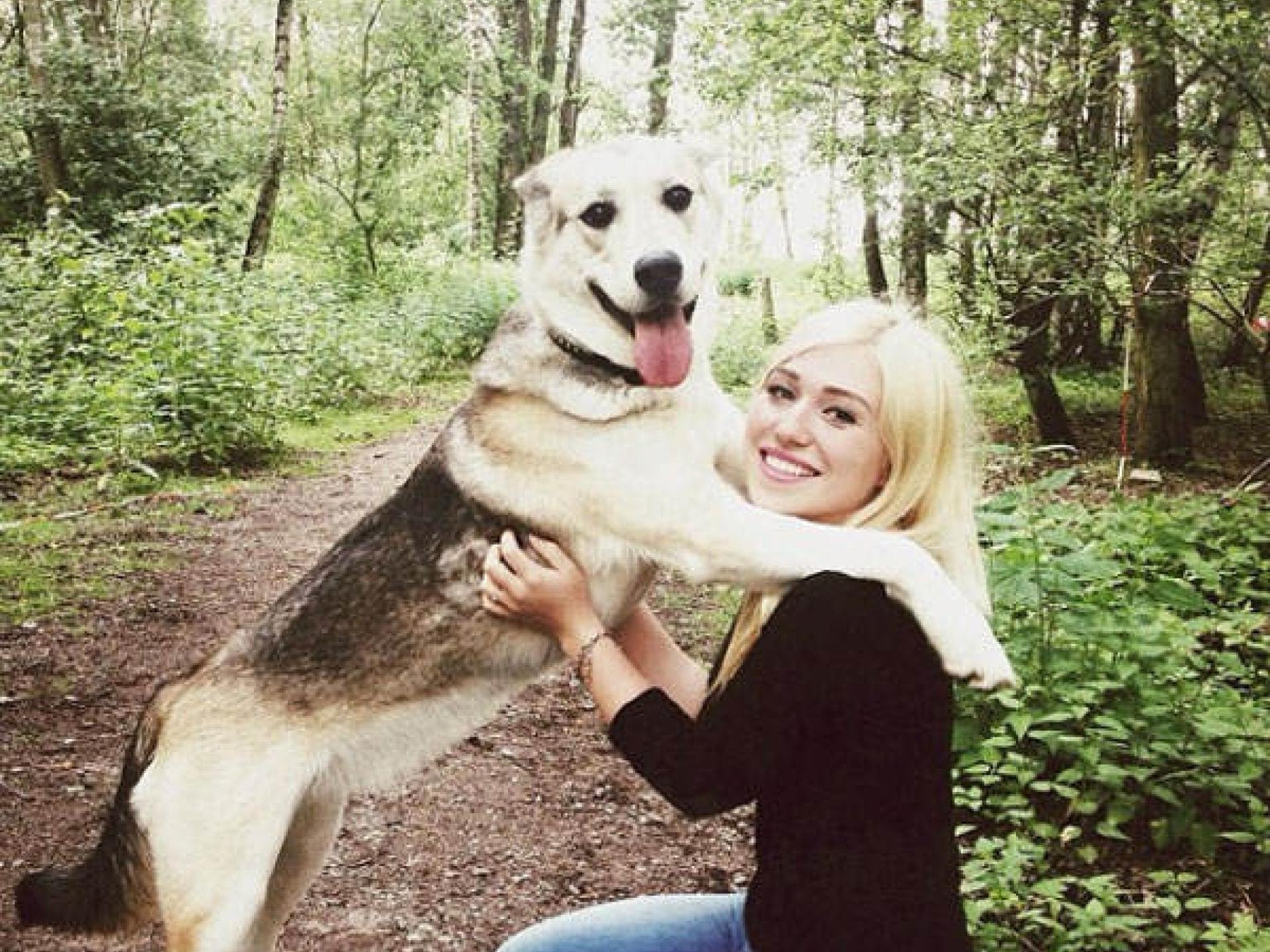 Wie war Bibi in Mathe? Wie war Bibi in Mathe?