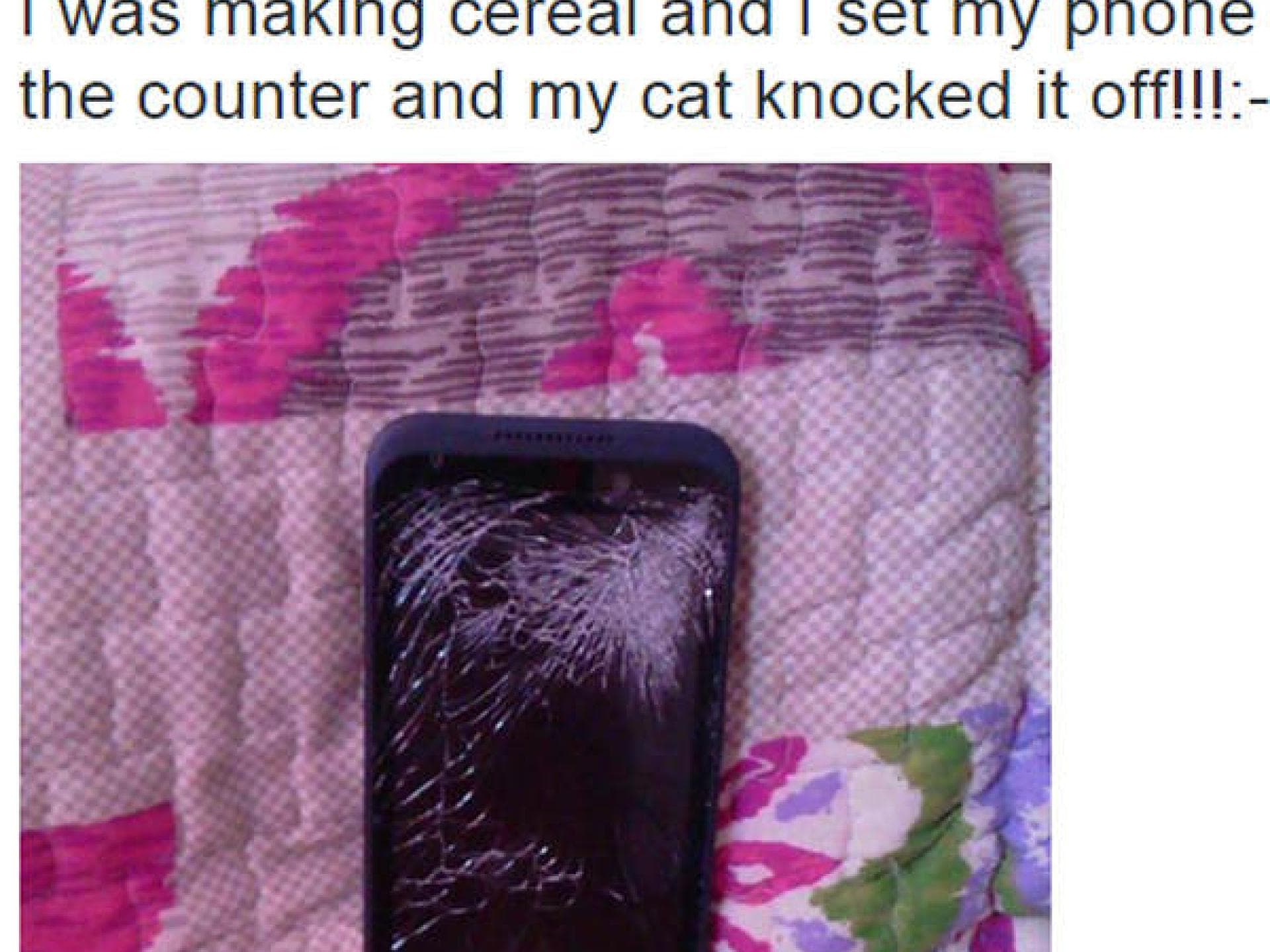 Handy unbeaufsichtigt lassen