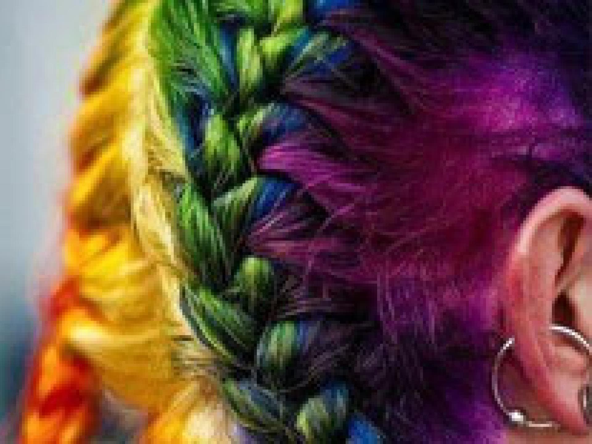 Color Block Flechtfrisur Color Block Flechtfrisur