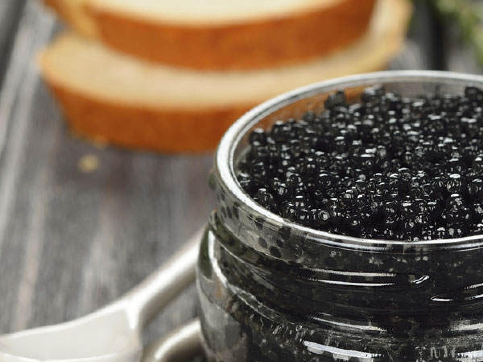 Muscheln und Kaviar: Verführerische Wirkungen