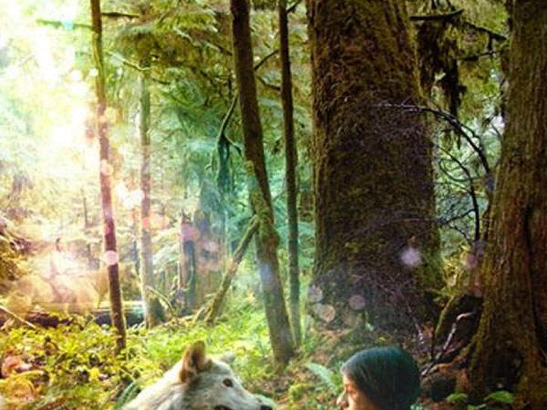 Shana - The Wolf's Music: Kinostart Shana - The Wolf's Music: Kinostart